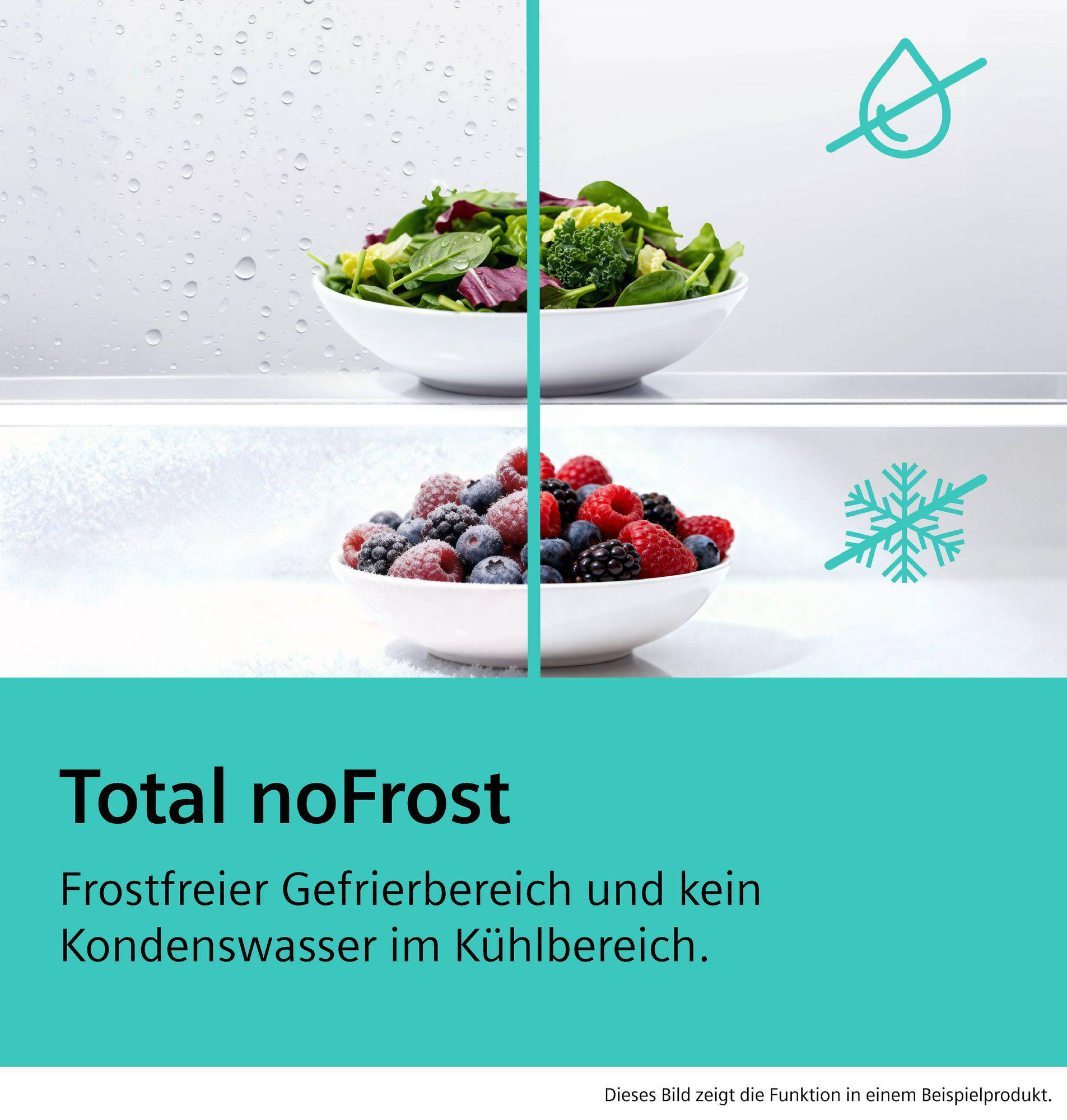 Frischer Salat und Beeren in Schalen, mit Symbolen für keine Feuchtigkeit und Frost.
