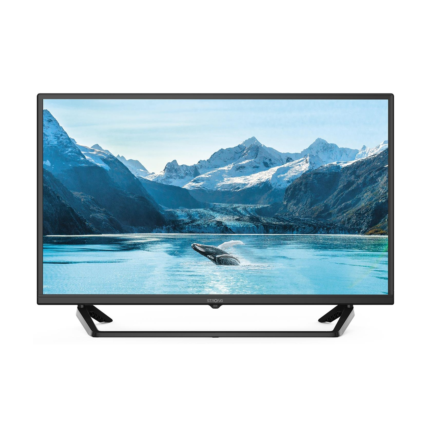 Una TV mostra una balena che balza tra montagne ghiacciate e acqua blu.