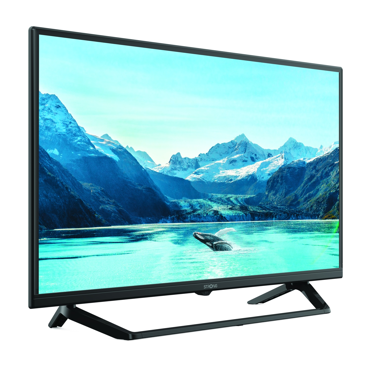 Una TV a schermo piatto mostra una pinna di balena in acqua turchese e montagne innevate.