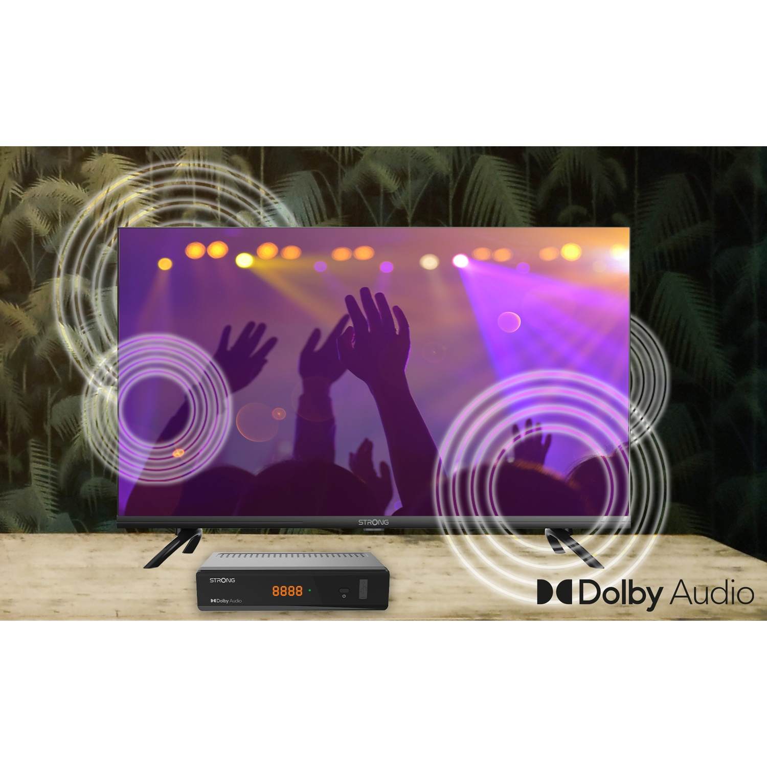 Una TV a schermo piatto mostra un concerto con luci viola e mani alzate. Un ricevitore nero sotto.