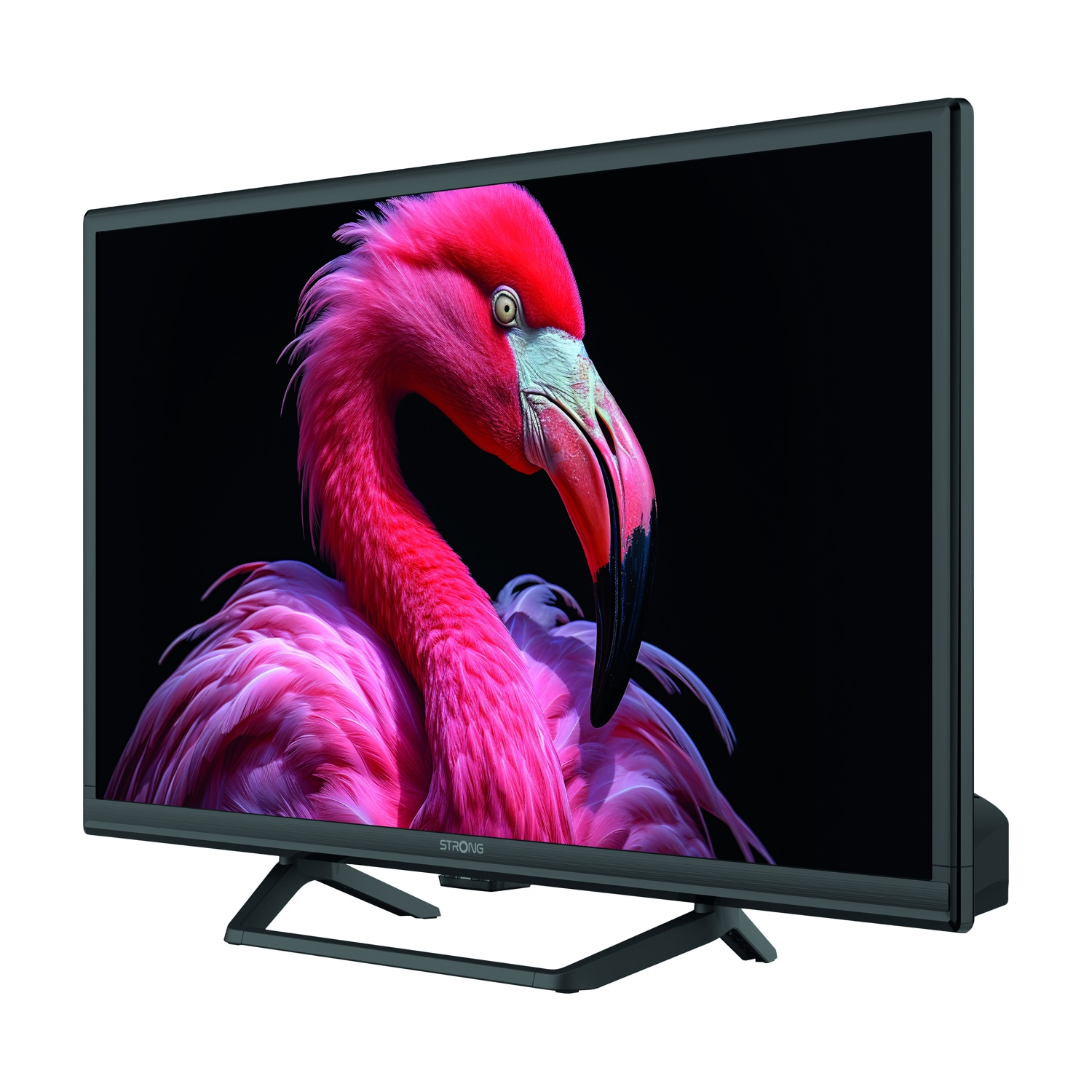 Uno schermo TV mostra un fenicottero rosa su sfondo nero.