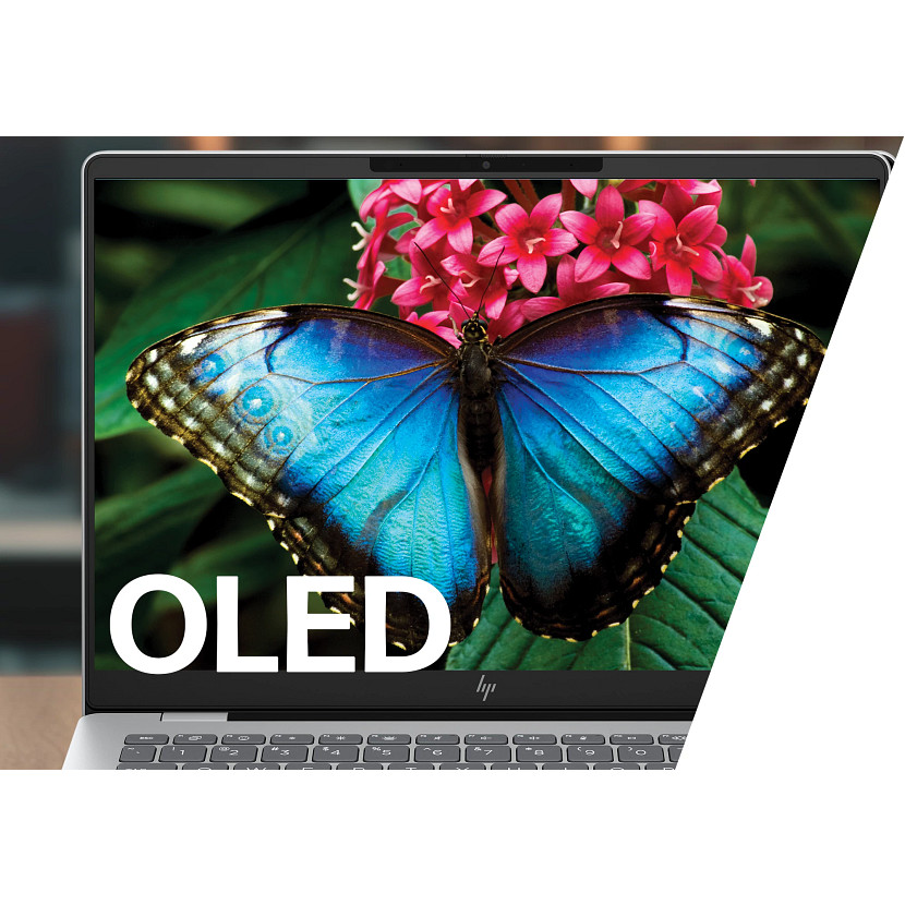 Ekran laptopa wyświetla niebieskiego motyla i napis 'OLED'.