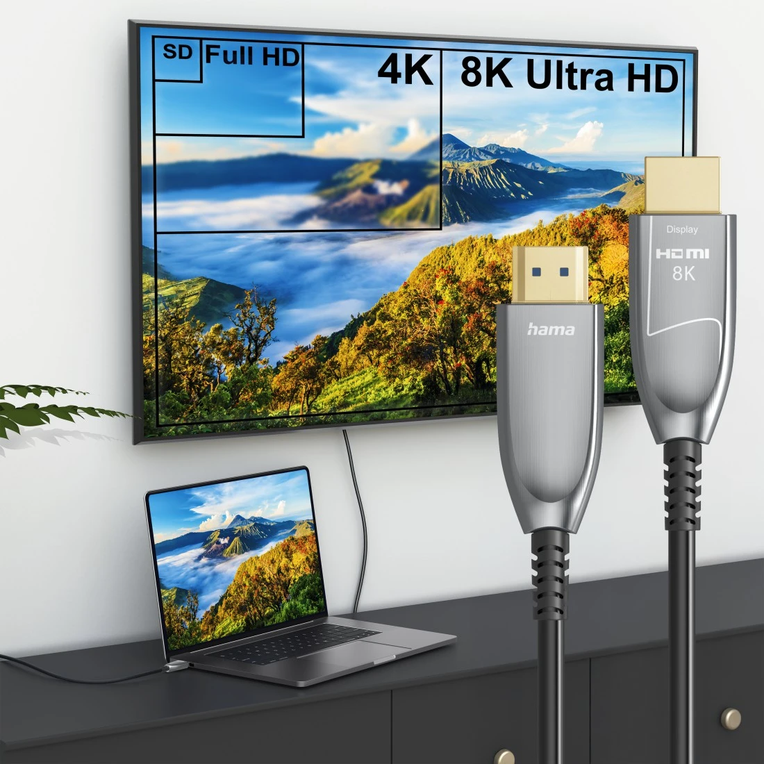 Un ordinateur portable et une TV affichent des paysages de montagne. Câbles HDMI devant.