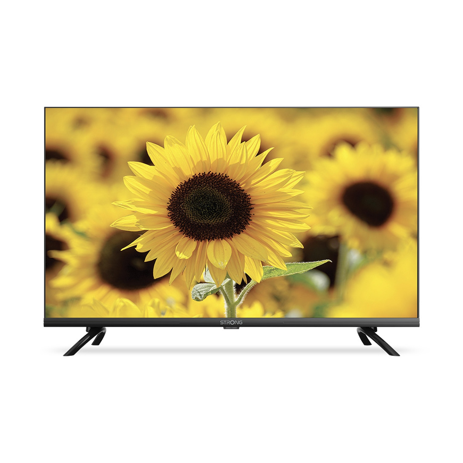 Un televisore mostra un campo di girasoli.