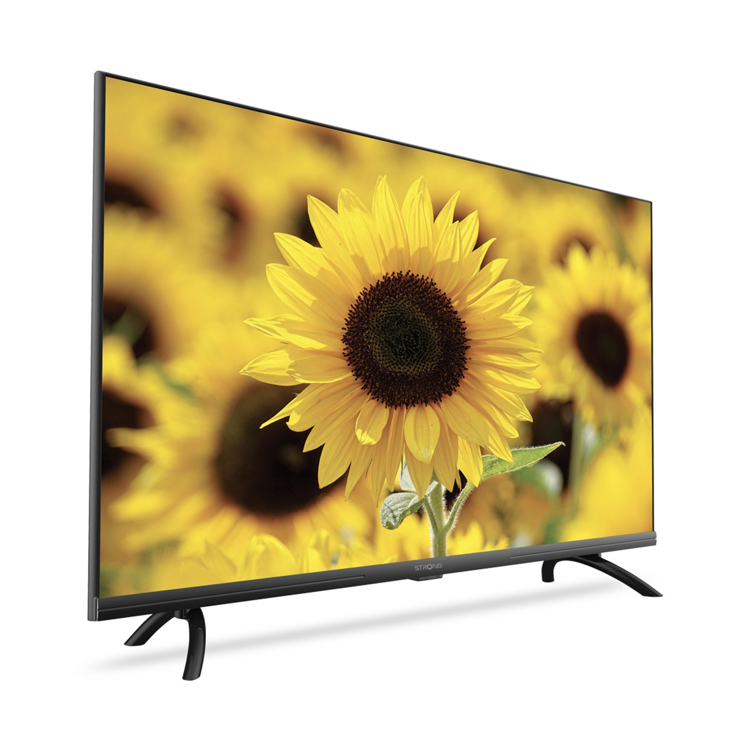 Un televisore mostra un campo di girasoli con un primo piano di un girasole.