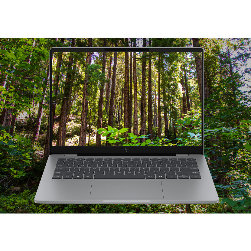 Ein Laptop mit einem Waldbildschirm steht vor einem Waldhintergrund.