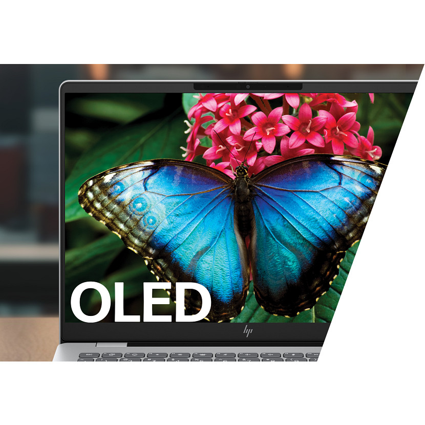 Ein blauer Schmetterling sitzt auf rosa Blumen vor einem Laptop-Bildschirm mit OLED-Text.