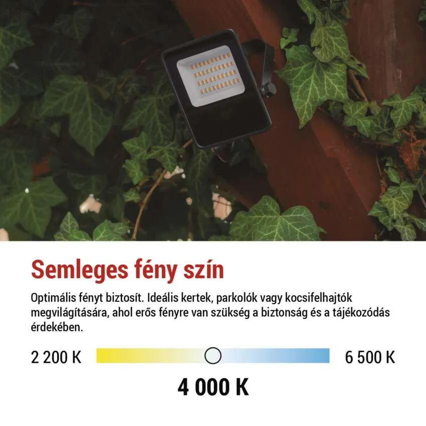 Fekete LED-es reflektor sok kis lámpával, zöld borostyánlevelekkel körülvéve.