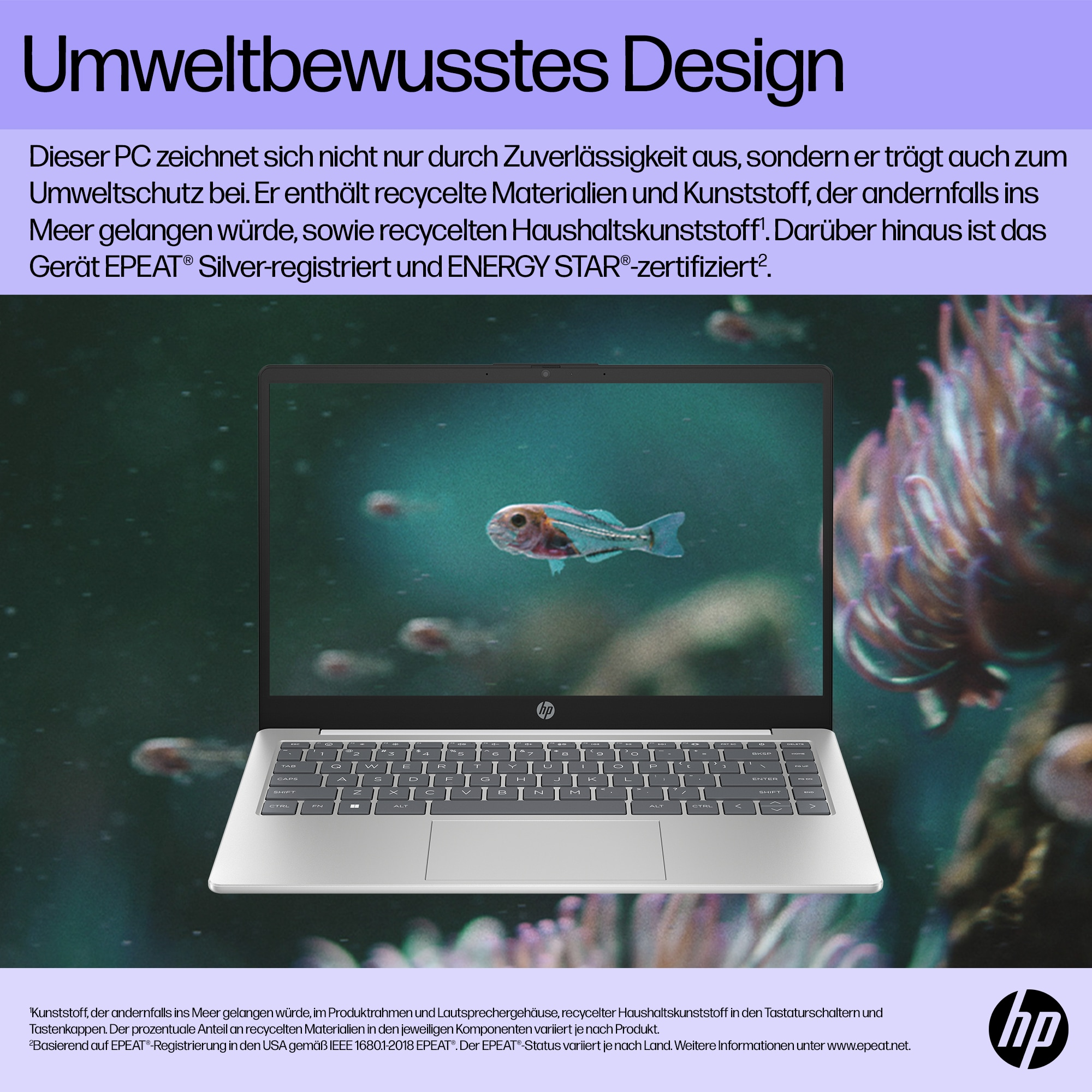 Ein Laptop mit einem Bild von Fischen im Meer auf dem Bildschirm.