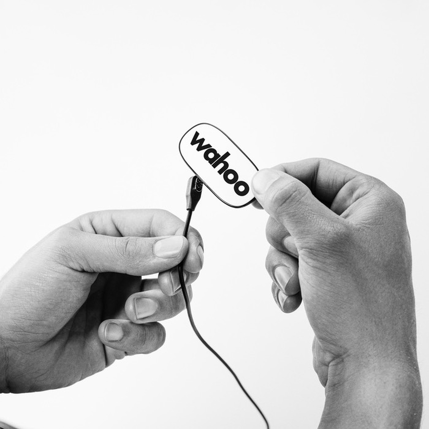 Person holding Wahoo logo and cable with two hands against white background.