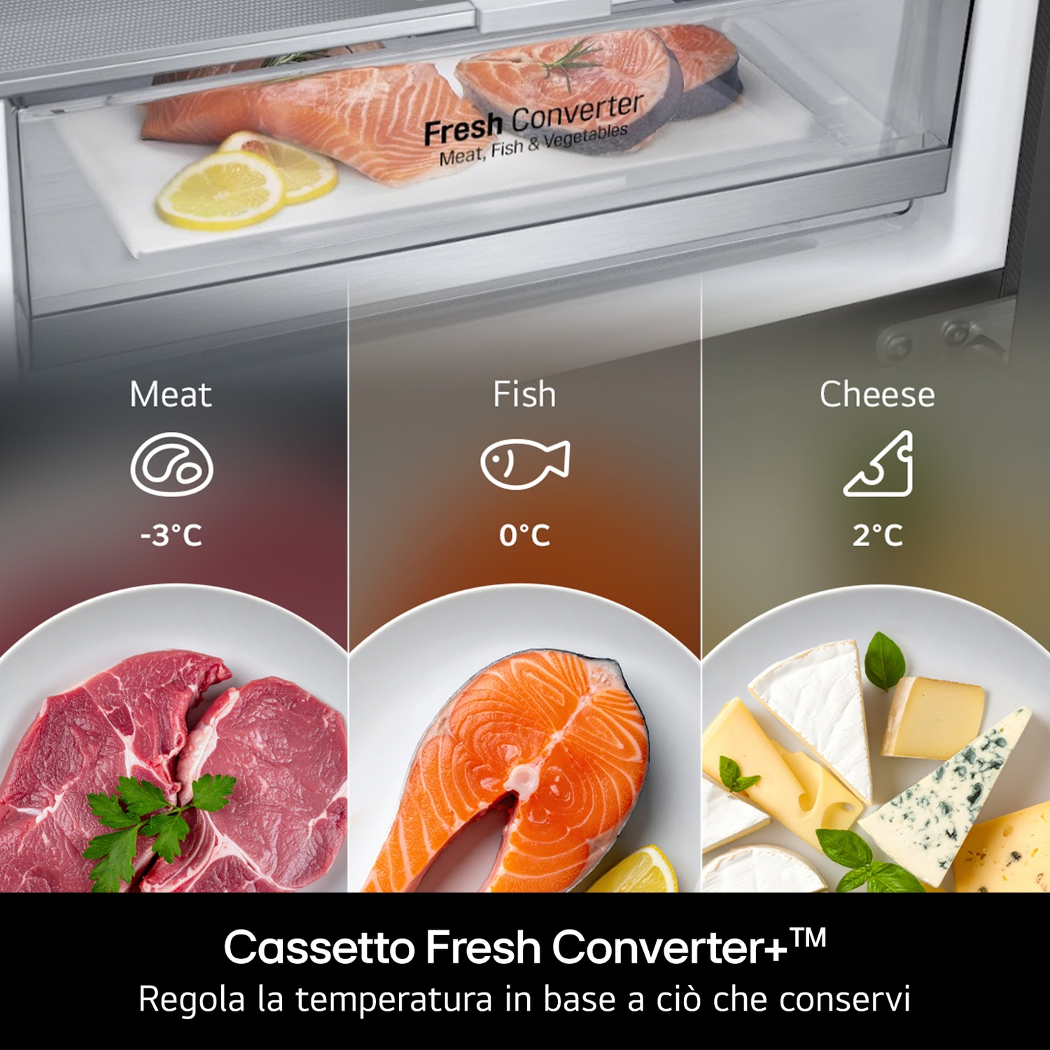 Cassetto frigorifero con carne, pesce e formaggio a diverse temperature.