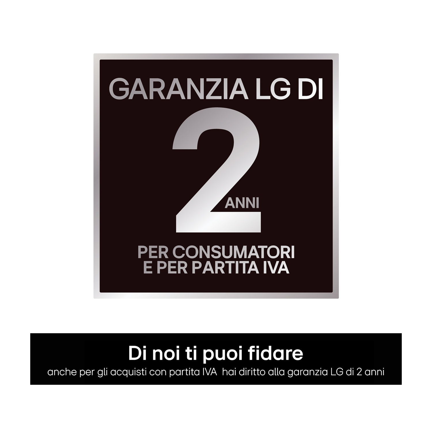 Garanzia LG di 2 anni per consumatori e Partite IVA.