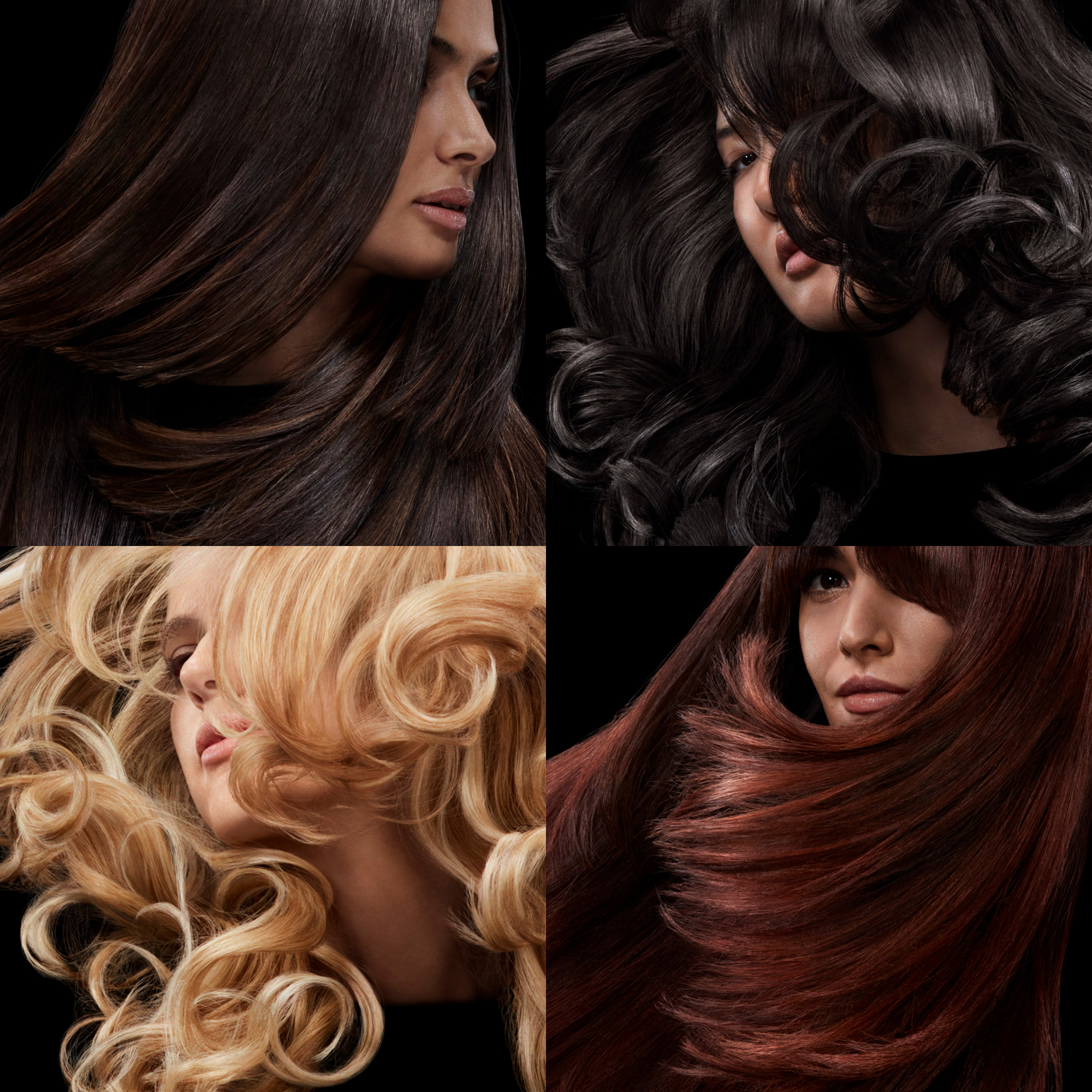 Collage aus vier Frauenköpfen mit verschiedenen Haarfarben: braun, schwarz, blond und rot.