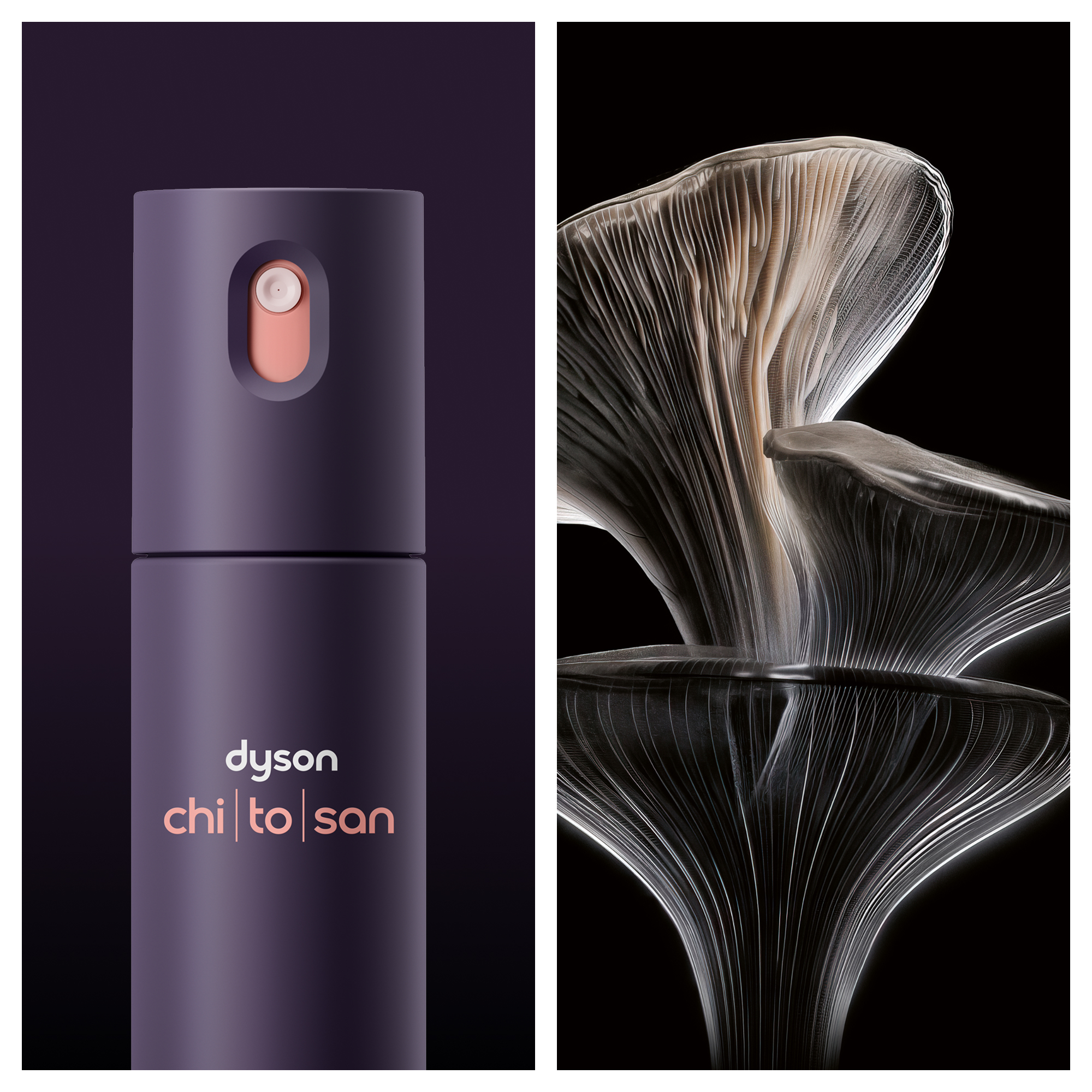 Ein violetter Dyson Haarglätter und Nahaufnahme von Pilzlamellen auf schwarzem Hintergrund.