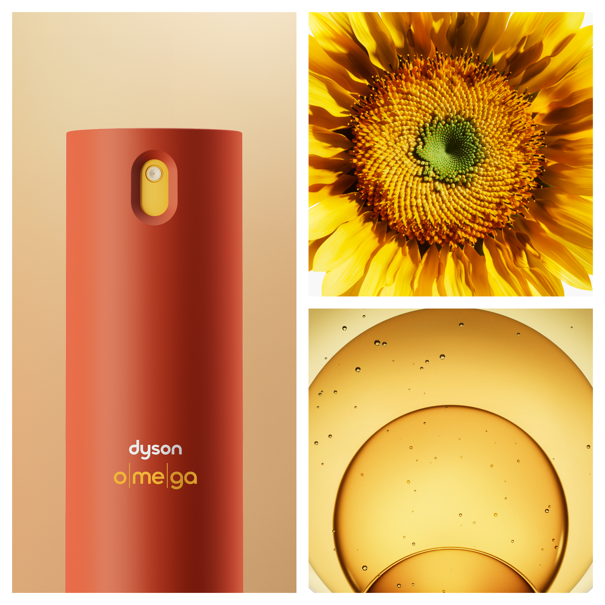 Rote Dyson Omega Flasche, Sonnenblume, goldene Blasen auf Gelb.
