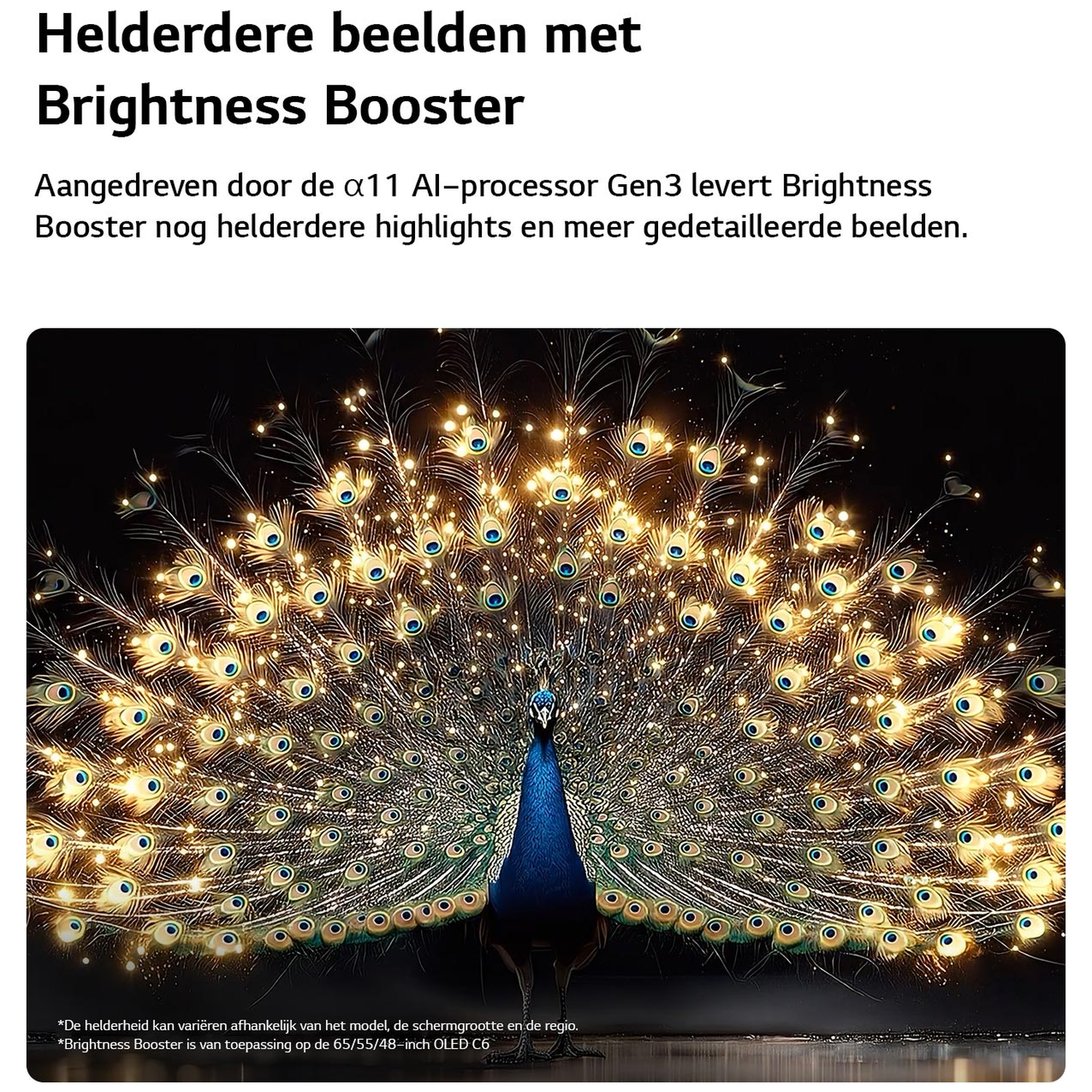 A peacock fans its glowing feathers against a black background.