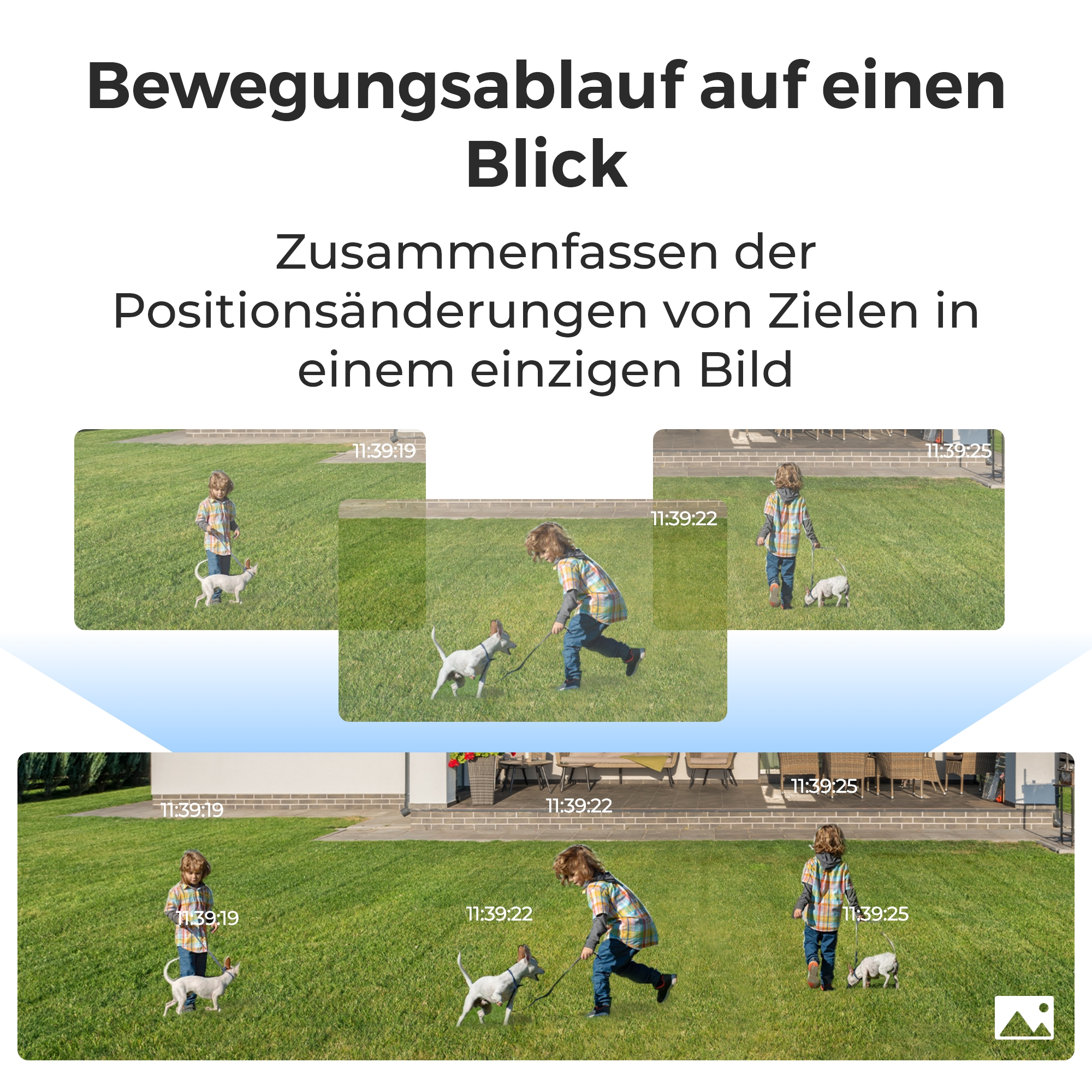 Ein Kind führt einen kleinen Hund an der Leine über einen grünen Rasen, gezeigt in mehreren Zeitstempel-Frames.