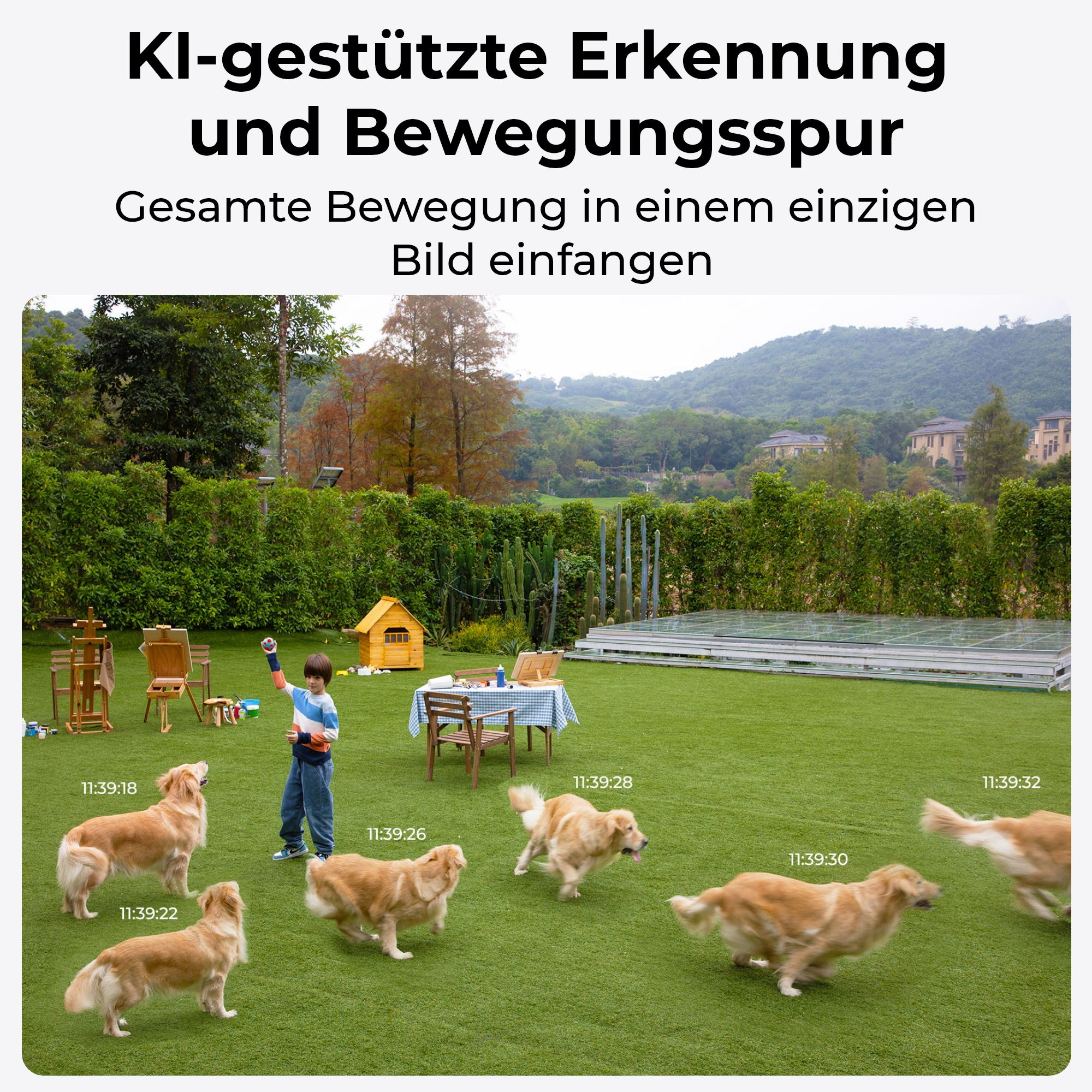 Ein Junge wirft einen Ball, während mehrere Hunde auf einem Rasen rennen.