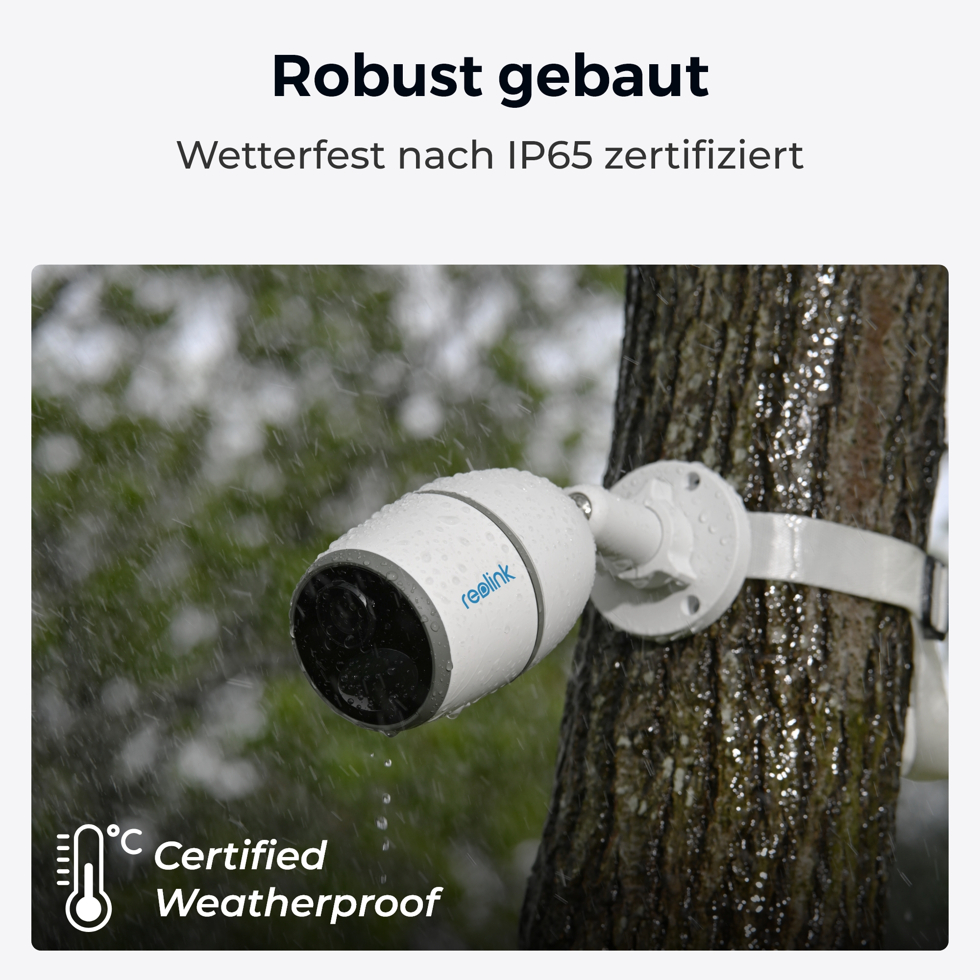 Eine weiße Reolink-Kamera ist an einem Baum befestigt, während es regnet.