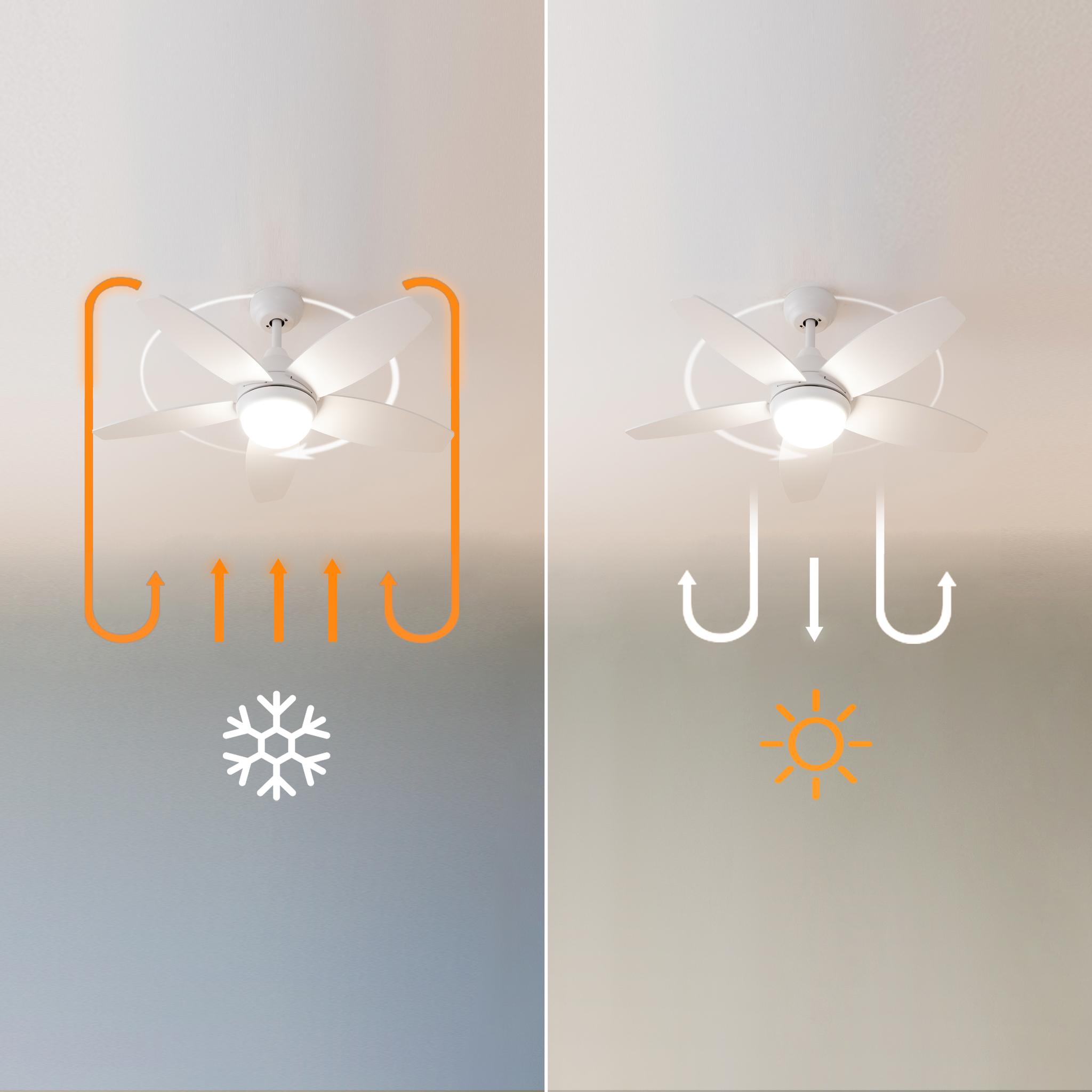 Ventilador de techo que ilustra la circulación de aire cálido y frío con iconos.
