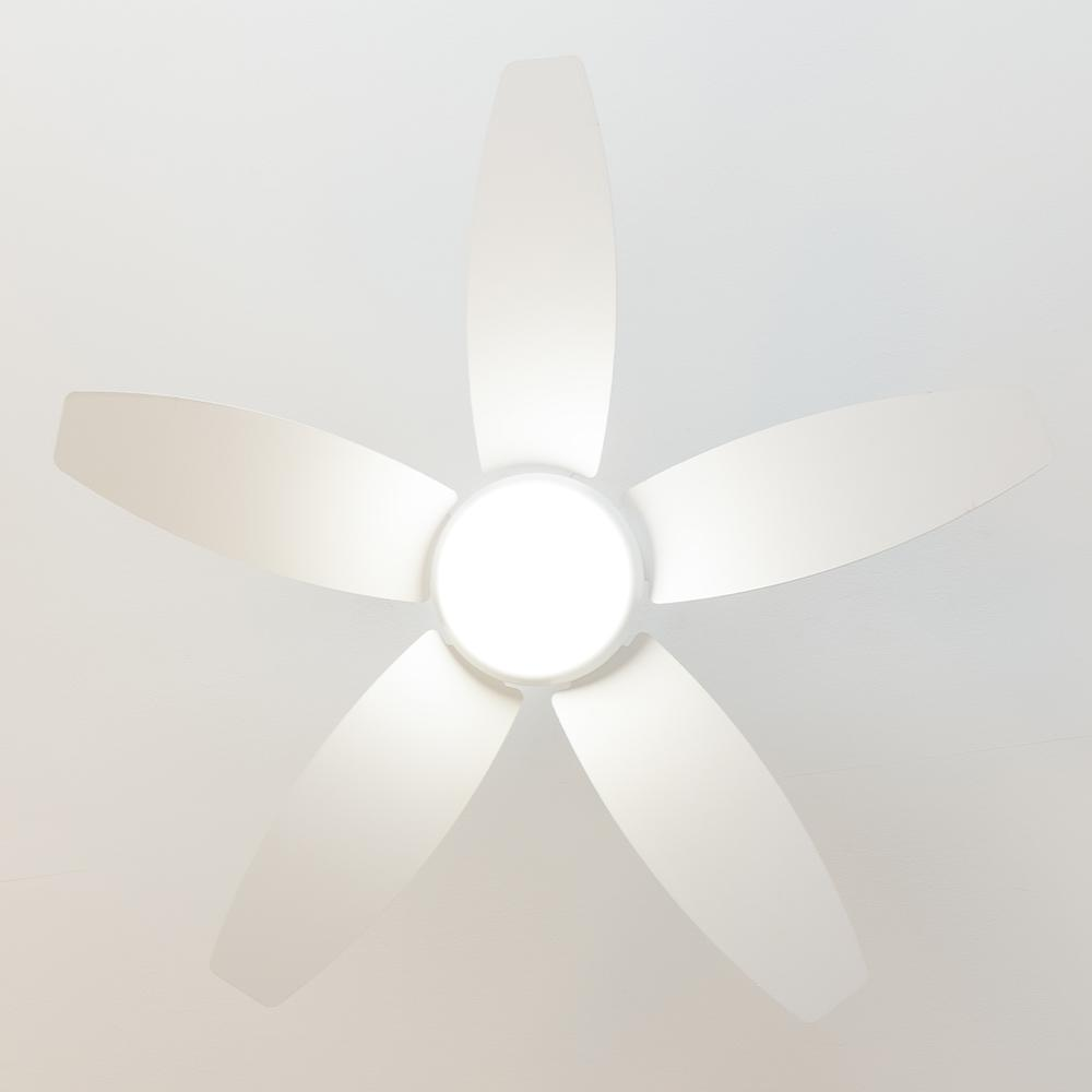 Un ventilador de techo blanco con cinco aspas y una luz central.