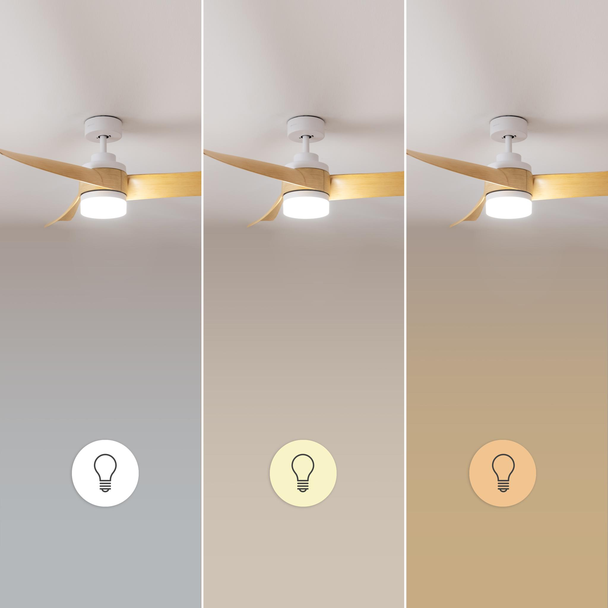 Ventilador de techo con aspas de madera y luz en tres temperaturas.