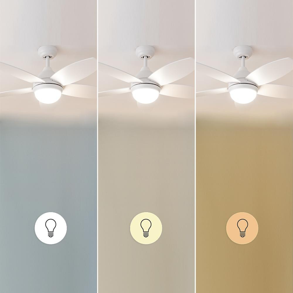 Ventilador de techo con luz en tres colores de pared y luz diferentes.