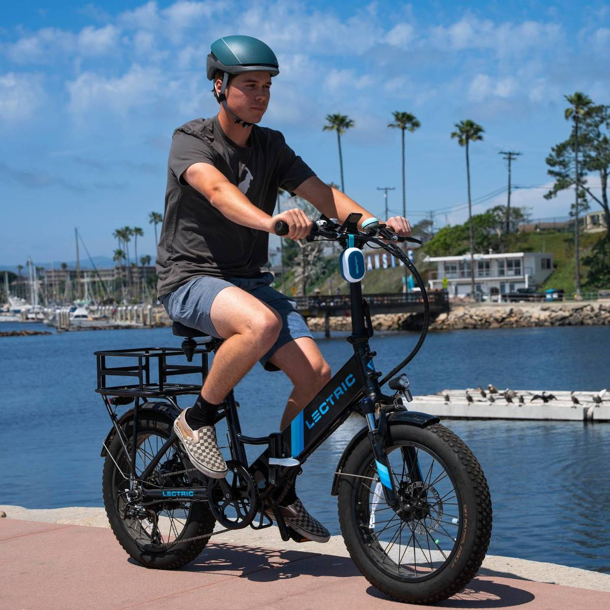 Ein Mann fährt ein schwarzes E-Bike am Wasser mit Palmen und Booten im Hintergrund.