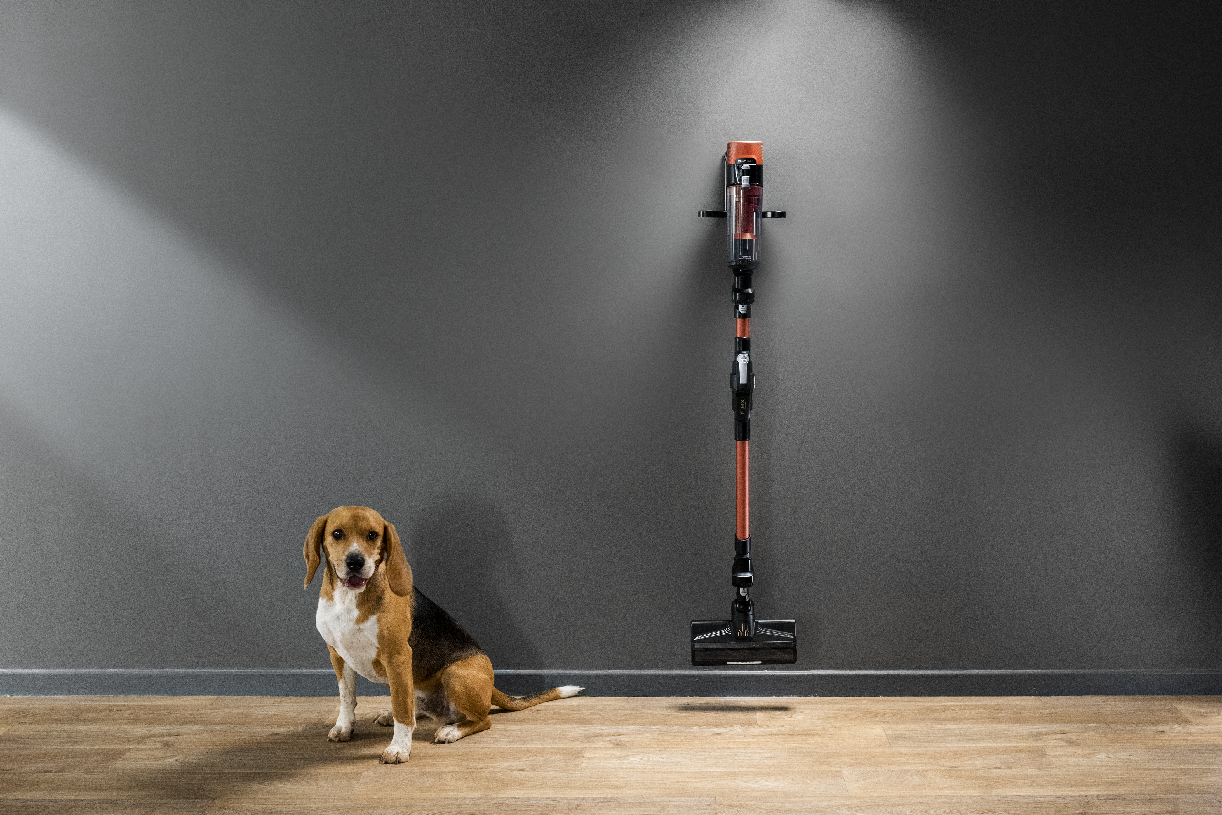 Egy beagle ül egy narancssárga porszívó mellett egy sötét falon.
