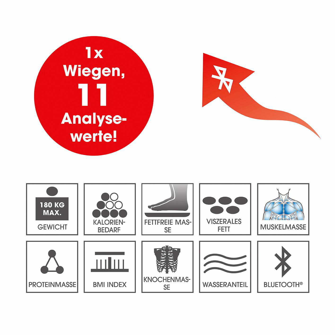 1x Wiegen, 11 Analysewerte! Icons: Gewicht, Kalorien, Fettfreie Masse, Viszerales Fett, Muskelmasse, Protein, BMI, Knochen, Wasser, Bluetooth.
