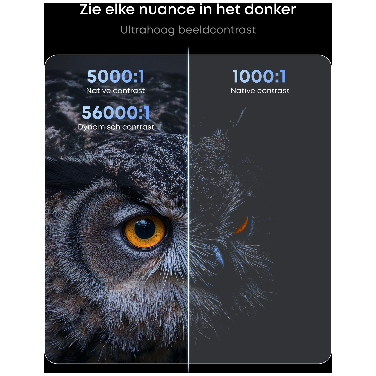 Two owl eyes compared: left with 5000:1 native and 56000:1 dynamic contrast.