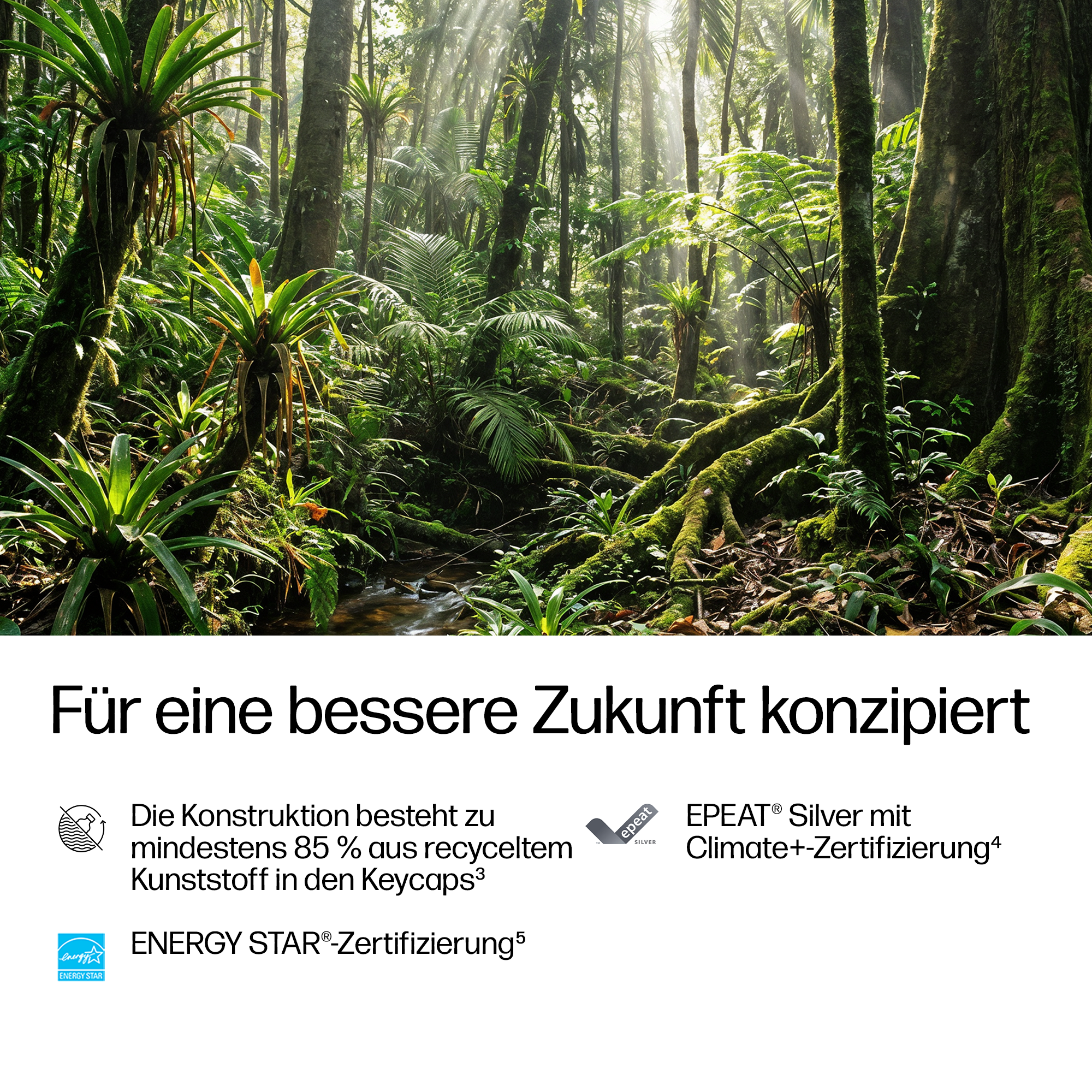 Ein dichter, sonnendurchfluteter Dschungel mit üppiger Vegetation und moosbewachsenen Bäumen.