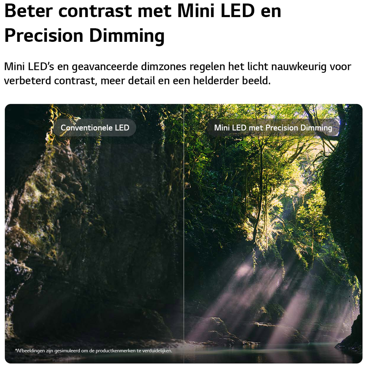 Gesplitst scherm toont bosscène. Links: Donkere, rotsachtige grot met mos. Rechts: Zonnig bos met lichtstralen.