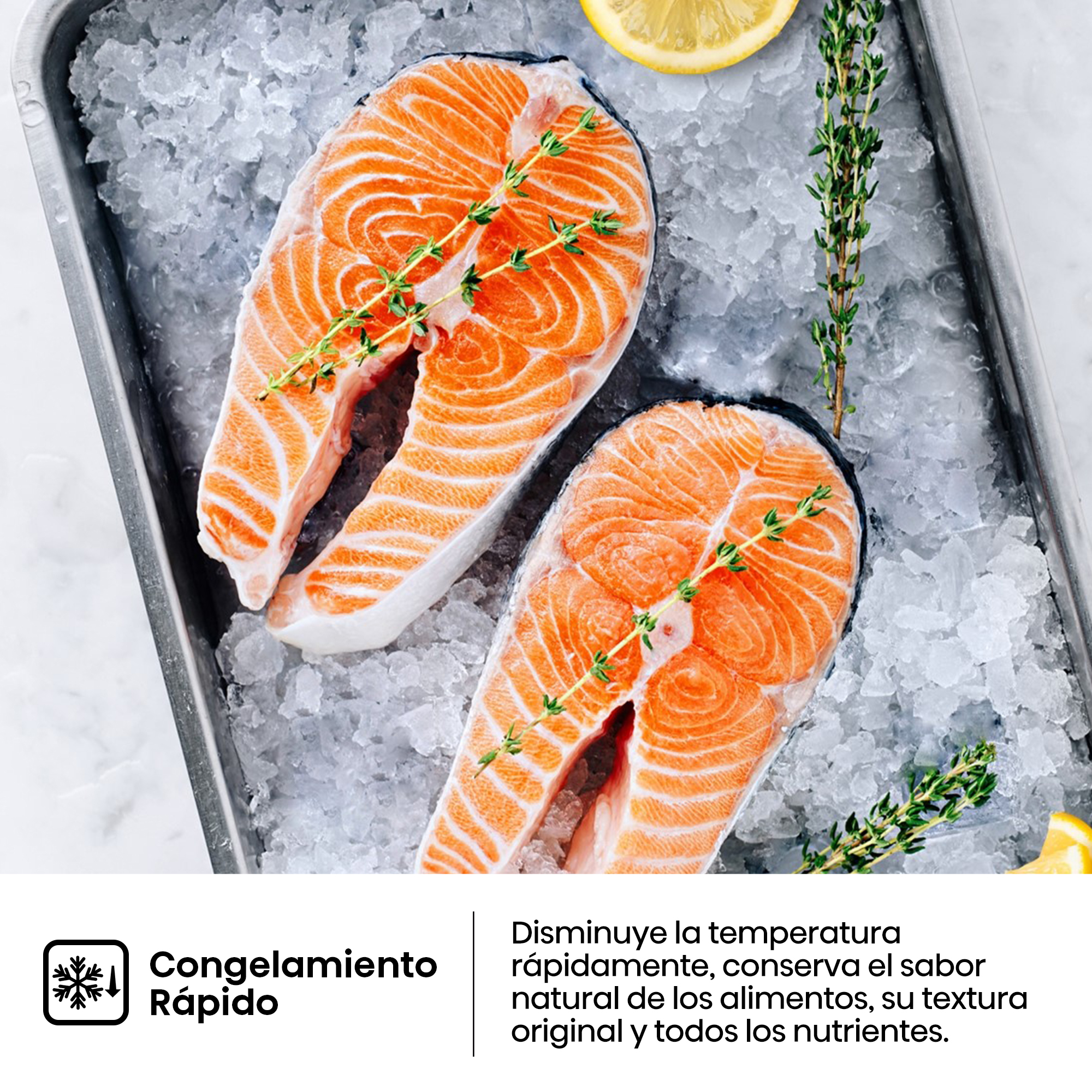 Dos filetes de salmón sobre hielo con hierbas y limón, listos para congelar rápido.