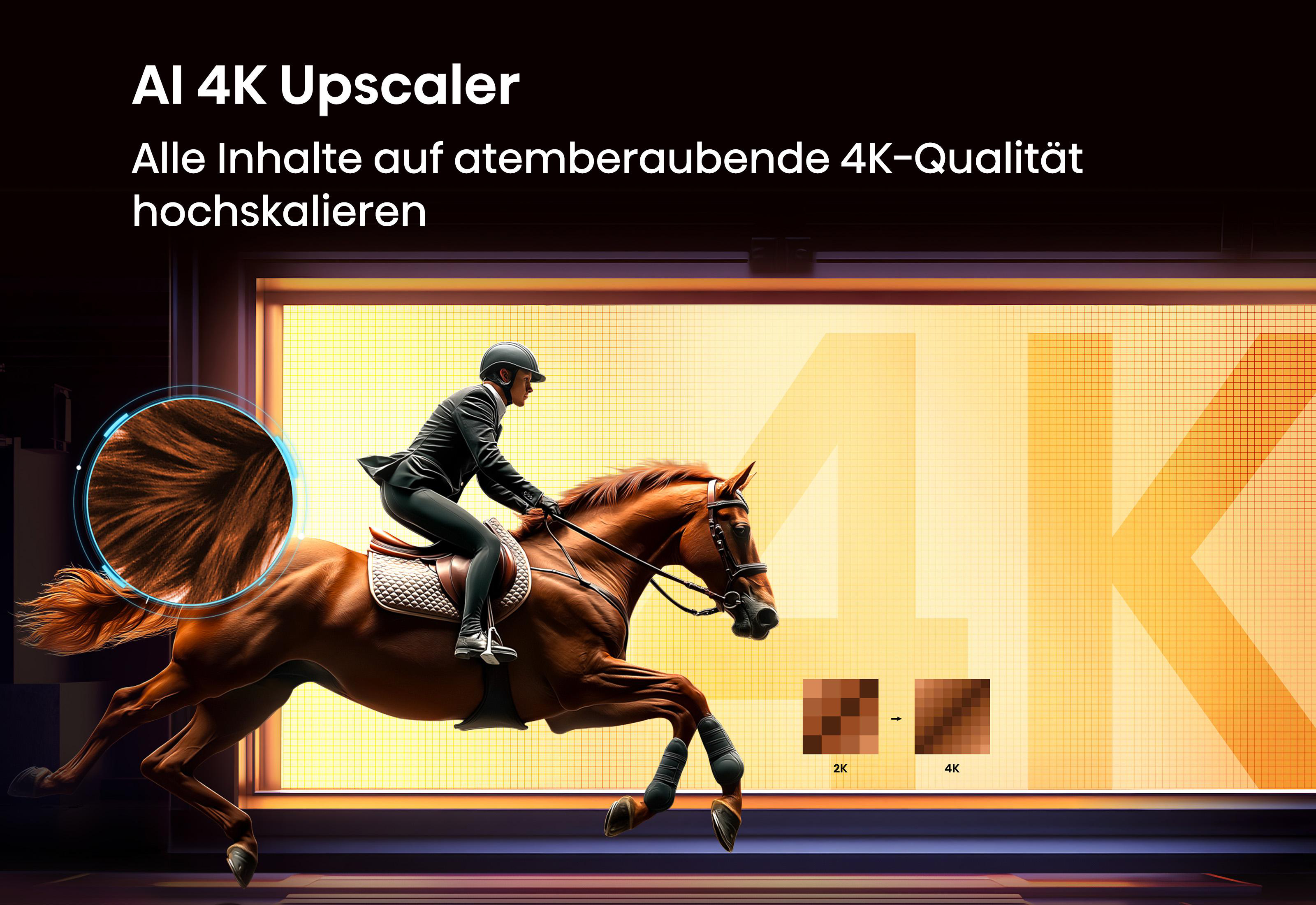 Ein Reiter in Schwarz springt auf einem braunen Pferd über ein 4K-Display.