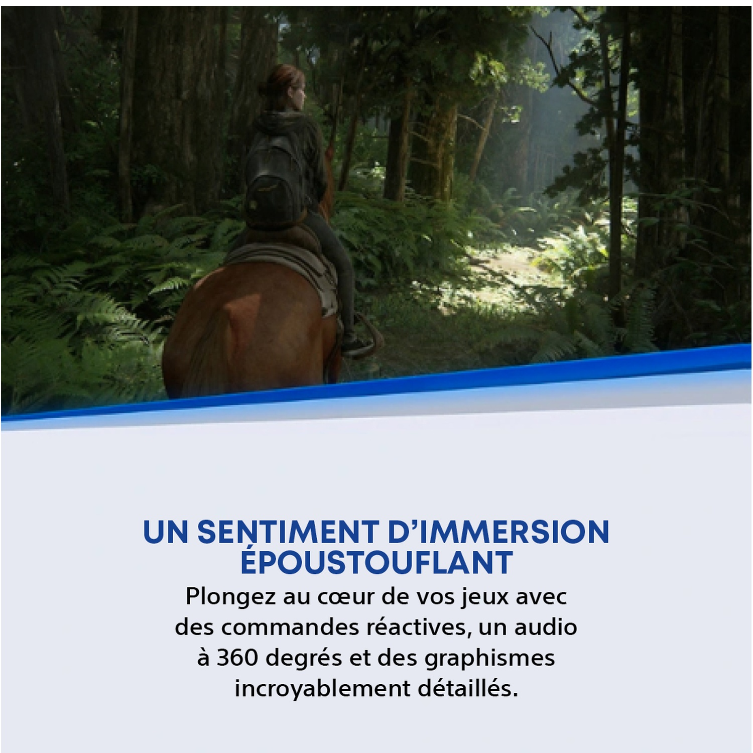 Une femme monte à cheval dans une forêt ensoleillée remplie de fougères.