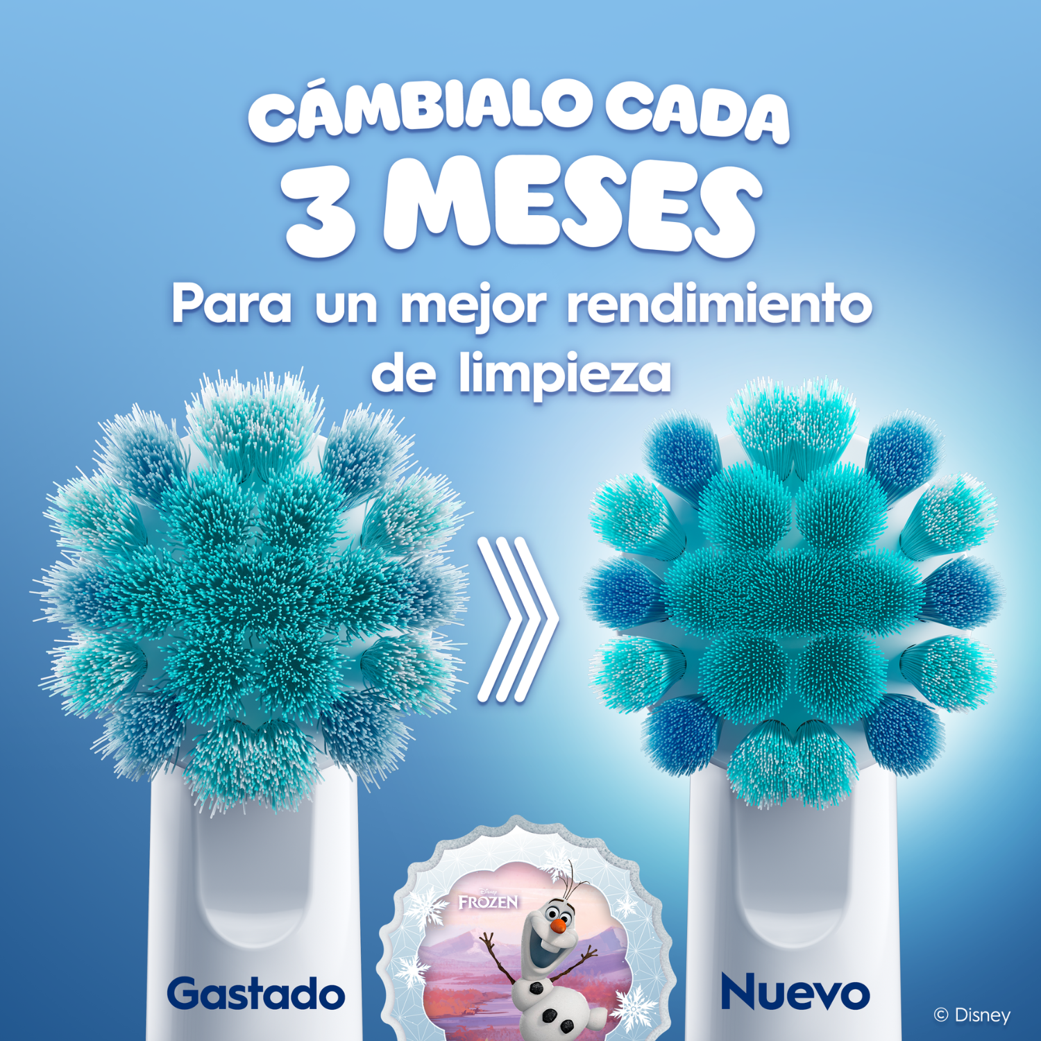 Cámbialo cada 3 meses para un mejor rendimiento de limpieza. Gastado. Nuevo. Frozen Disney.