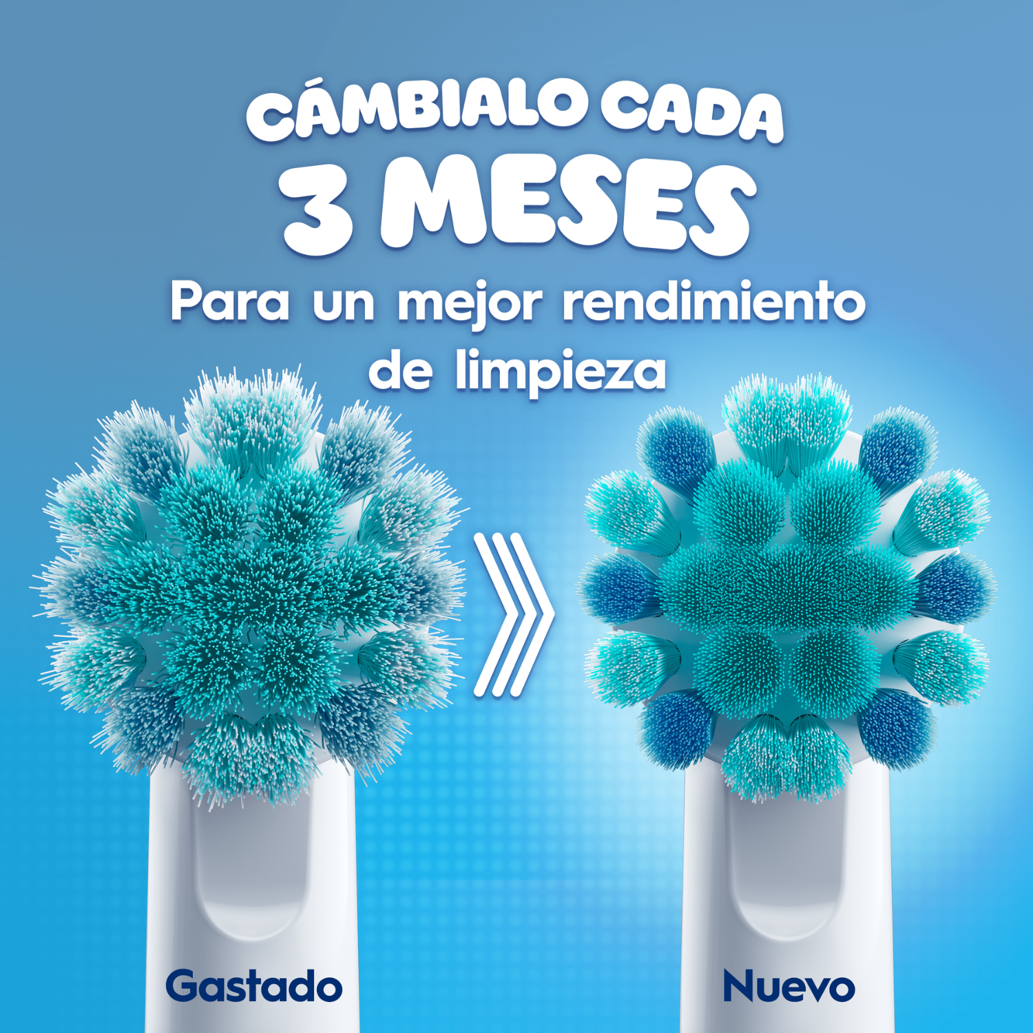 Cámbialo cada 3 meses para un mejor rendimiento de limpieza. Gastado. Nuevo. 
