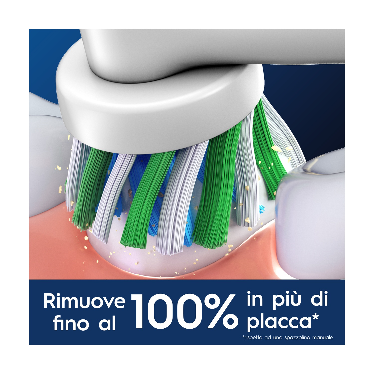 Setole testina spazzolino puliscono denti e gengive, rimuovono placca.