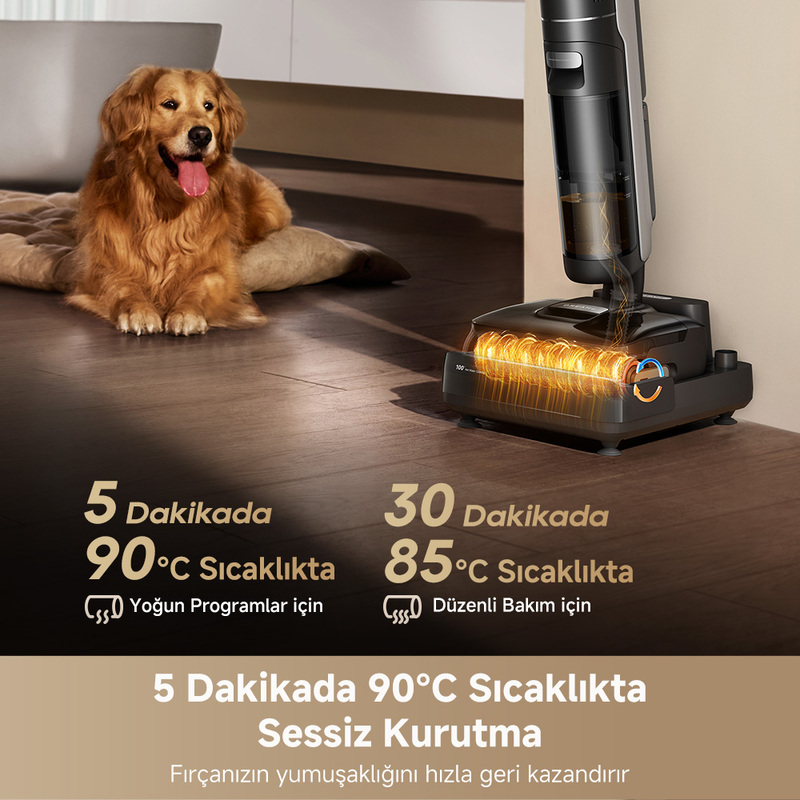 Altın Retriever sıcak fırçalı elektrikli süpürgenin yanında halıda yatıyor.