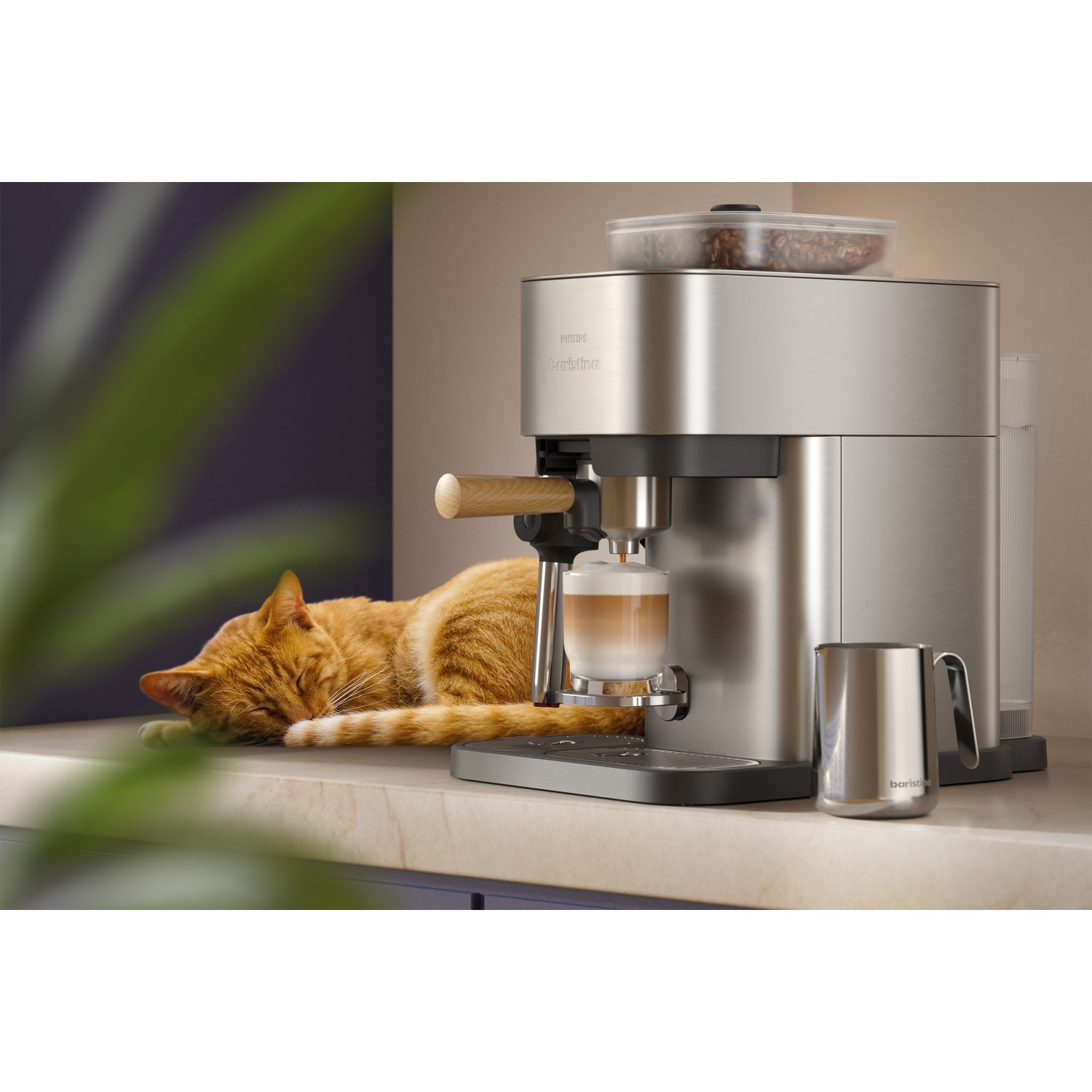An orange cat sleeps next to a silver espresso machine with coffee beans.
