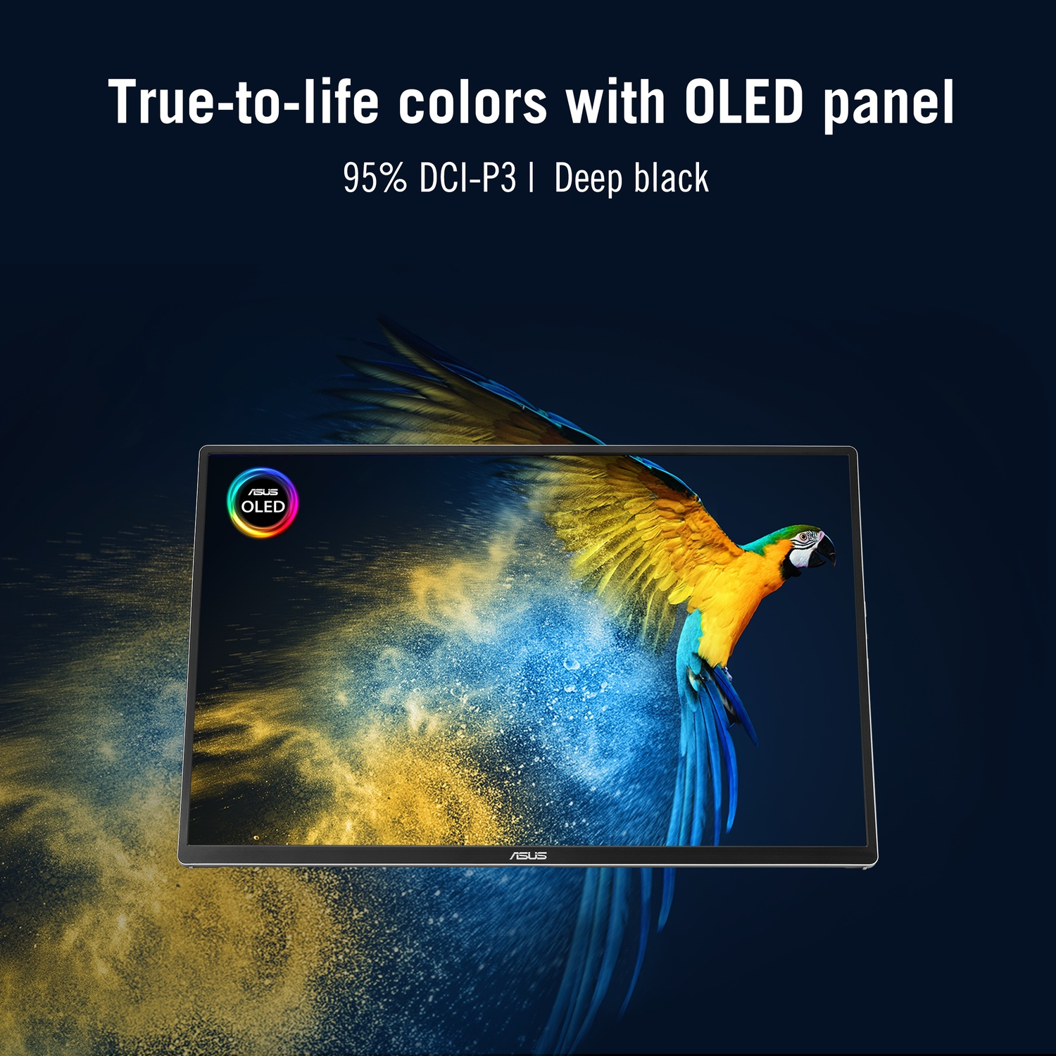 A monitor displays a colorful macaw and a color circle.