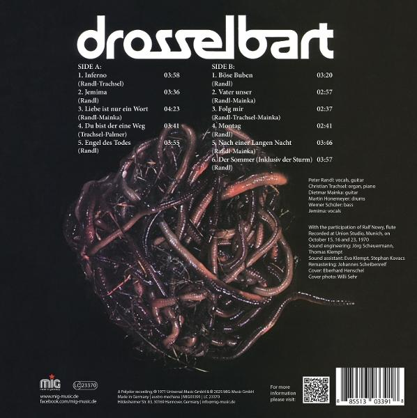 Das Cover zeigt den Titel "drosselbart" über einer Ansammlung von Würmern.