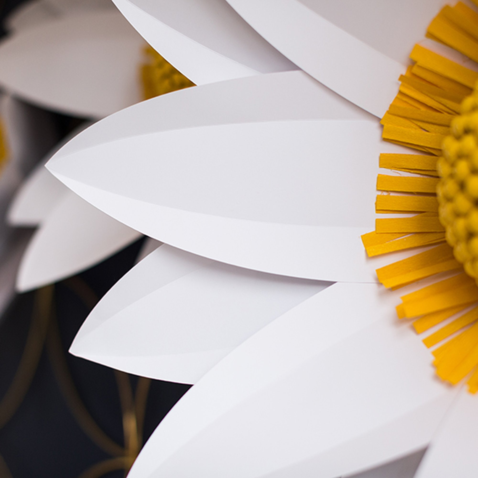Primer plano de una flor de papel blanca con estambres amarillos sobre fondo oscuro.
