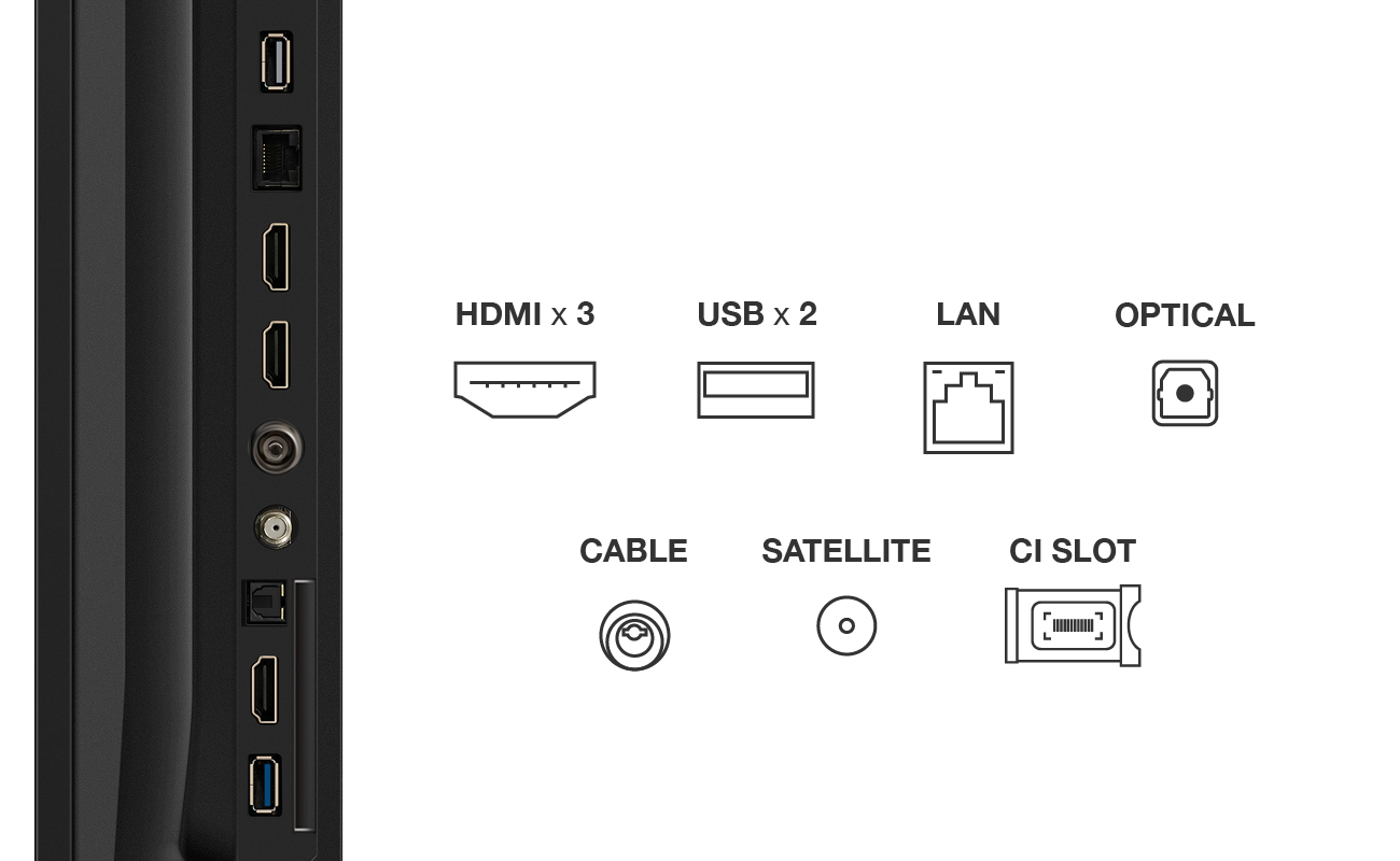 Anschlussübersicht: HDMI, USB, LAN, Optisch, Kabel, Satellit, CI-Slot.