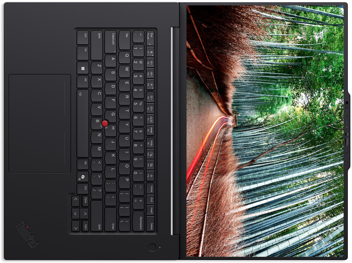 Laptop billentyűzettel és képernyővel, amely bambuszerdőben vezető utat mutat.