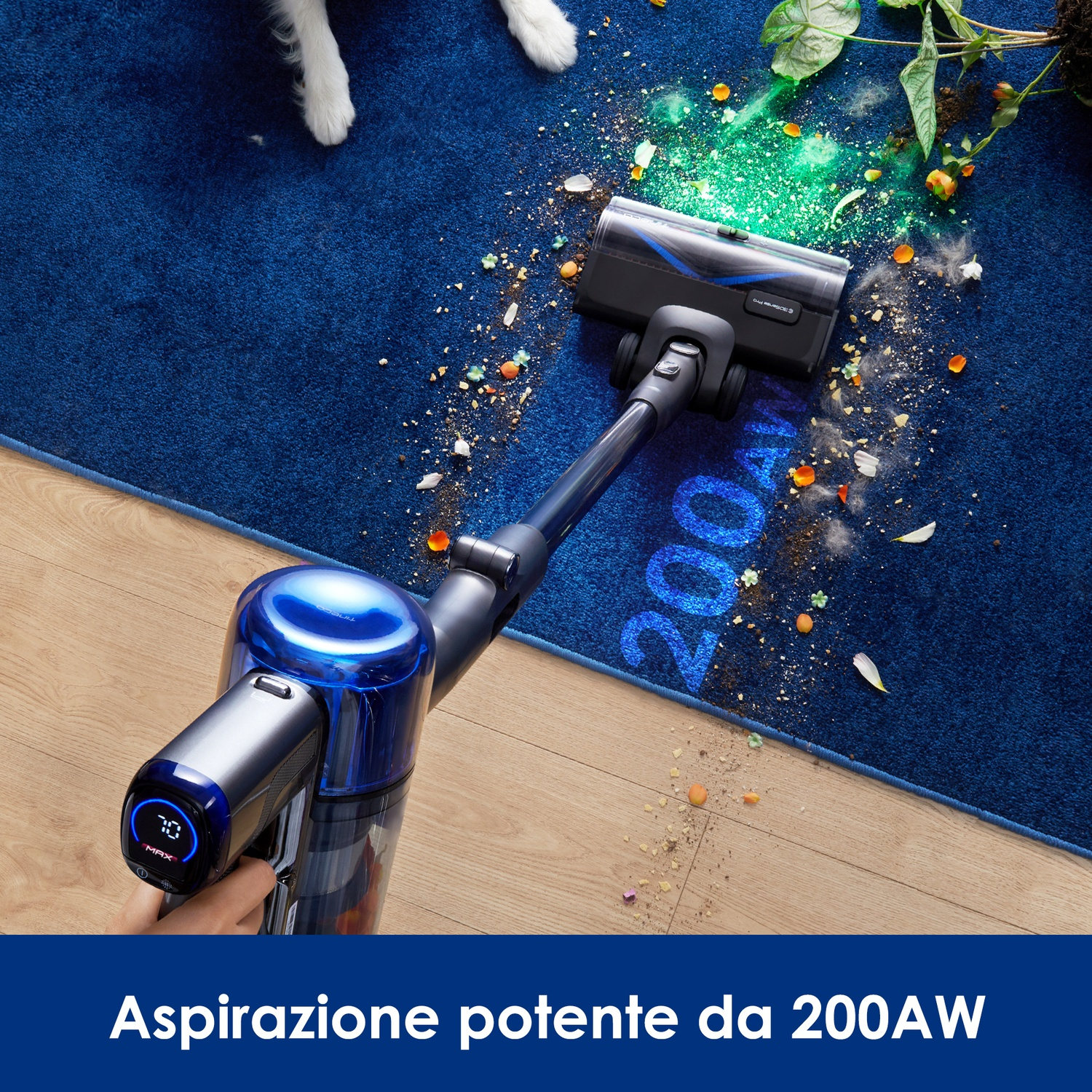 Un tappeto blu con un aspirapolvere che aspira sporco e detriti vegetali.