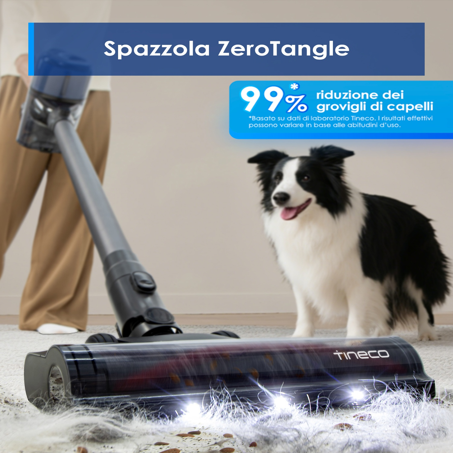 Un aspirapolvere pulisce peli sul tappeto, un cane osserva.