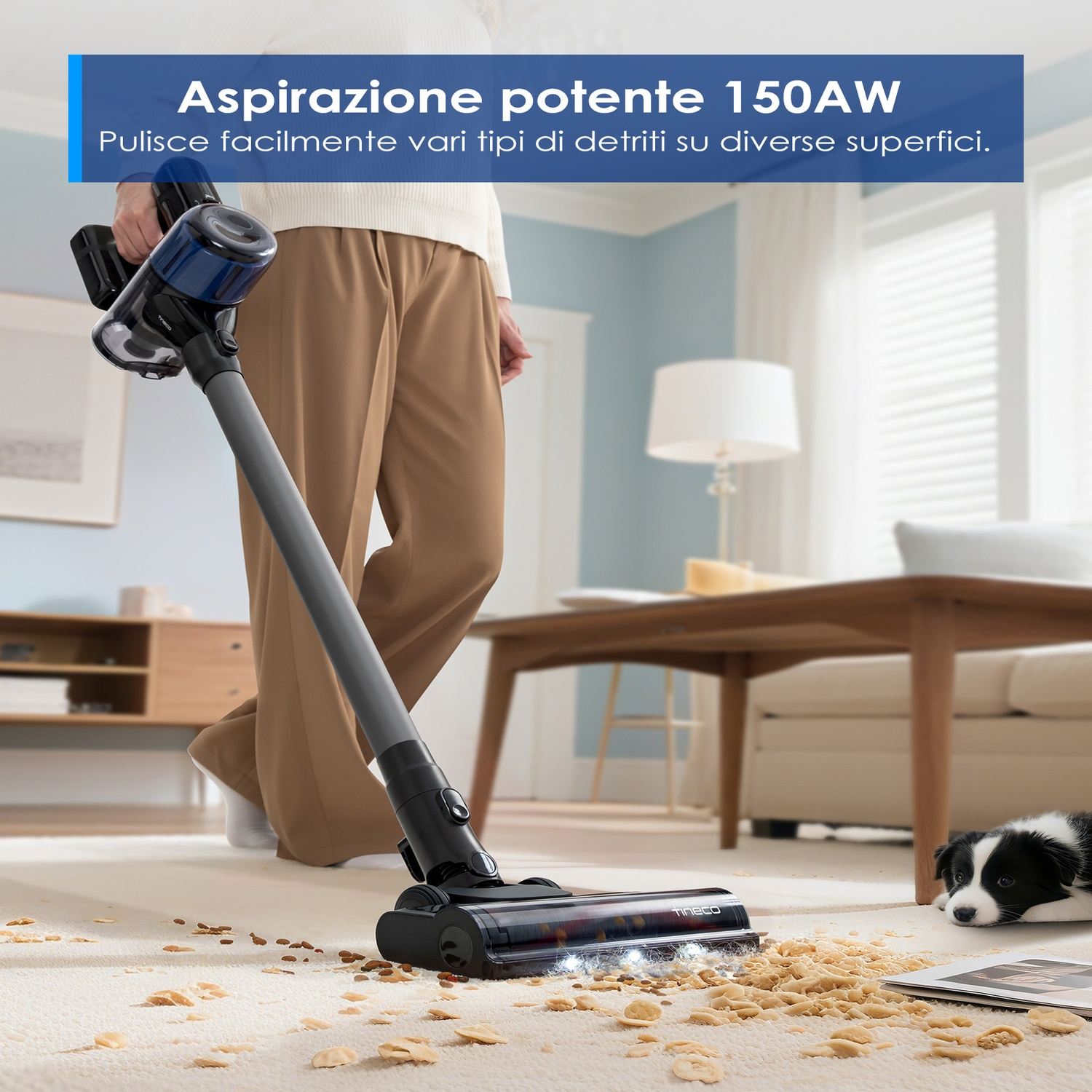 Un aspirapolvere pulisce un tappeto pieno di briciole, con un cane vicino.