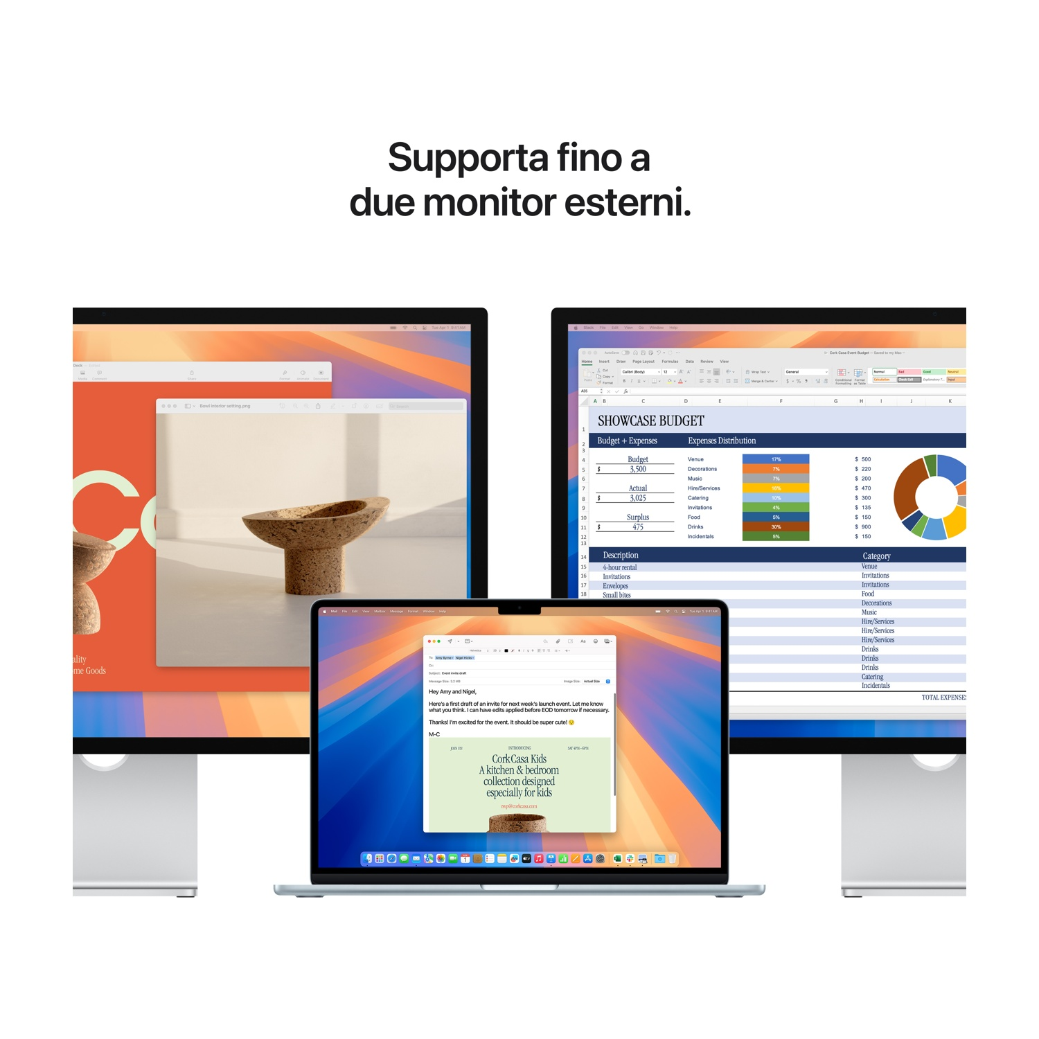 Due monitor visualizzano foglio di calcolo, email e sito web.